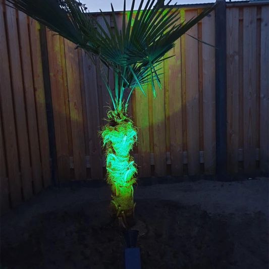 Slimme solar spot Highlight RGB met grondspies - Bedienen via de Smart Life app