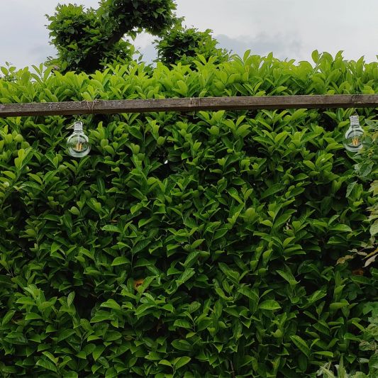 Solar filament lampen set van 2 Scoop met ophangklem