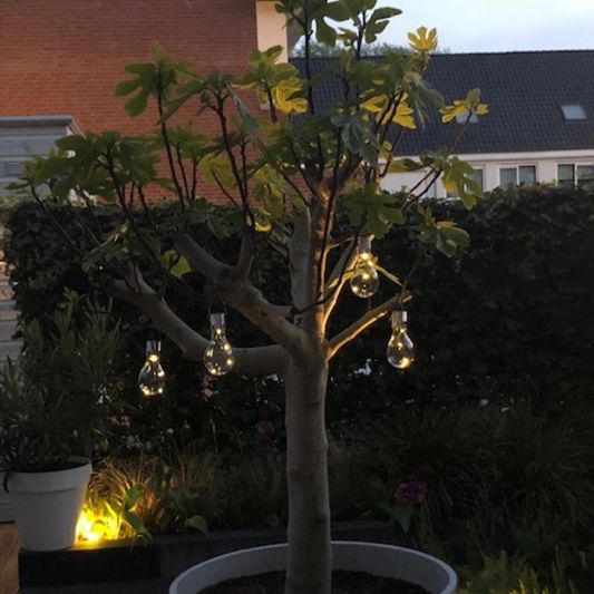 Solar LED lamp Eddy gloeilamp deco - set van 4 - op zonne energie