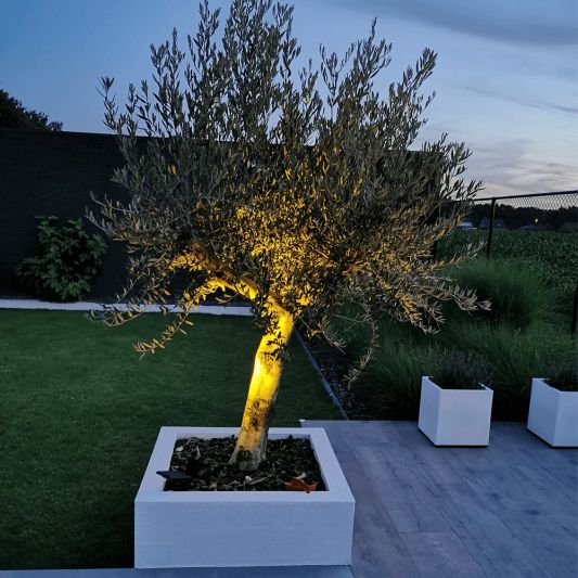 Solar spot Highlight voor wandmontage of grondspies warm wit voordeelset 3