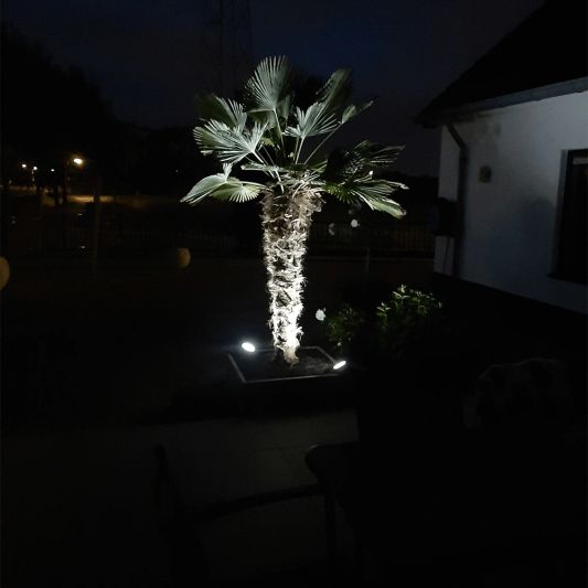 Solar spot Sunny Dual White tuinspot met grondspies - 3 stuks