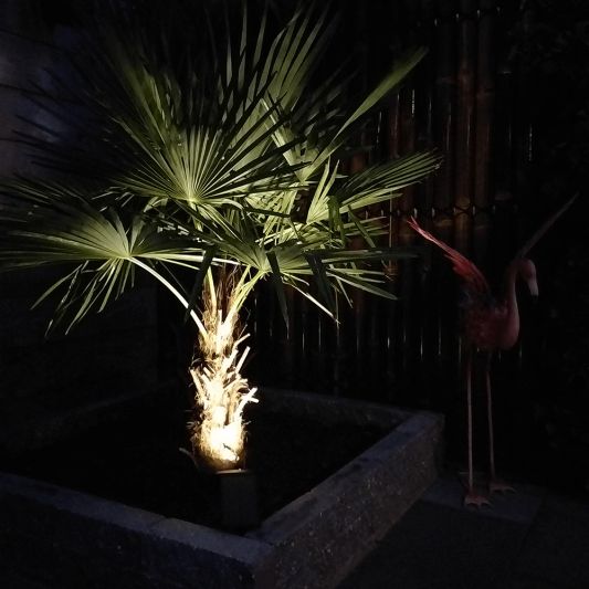 Solar spot Sunny Dual White tuinspot met grondspies - 3 stuks