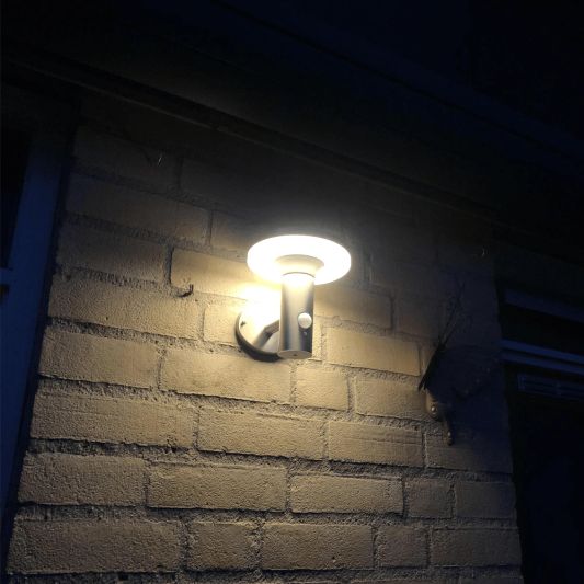 Solar wandlamp Brienz II RVS met sensor