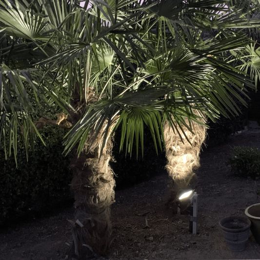 Solar wandlamp Capital III met los zonnepaneel