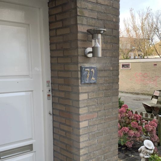 Solar wandlamp Luzern RVS met sensor