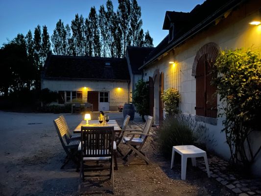 Solar wandlamp Slim met 36 leds en bewegingsmelder Zilver