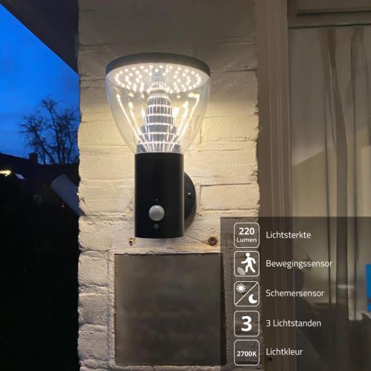 Solar wandlamp Spiez met bewegingssensor