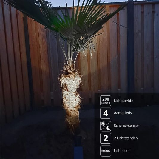 Solar wandspot Highlight voor wandmontage of grondspies - buitenlamp op zonne energie