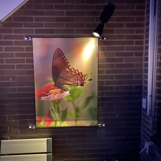 Solar wandspot Highlight voor wandmontage of grondspies - buitenlamp op zonne energie warm wit
