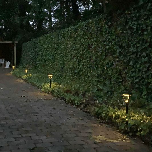 Voordeelset Solar priklamp Birdie zwart met warm wit licht