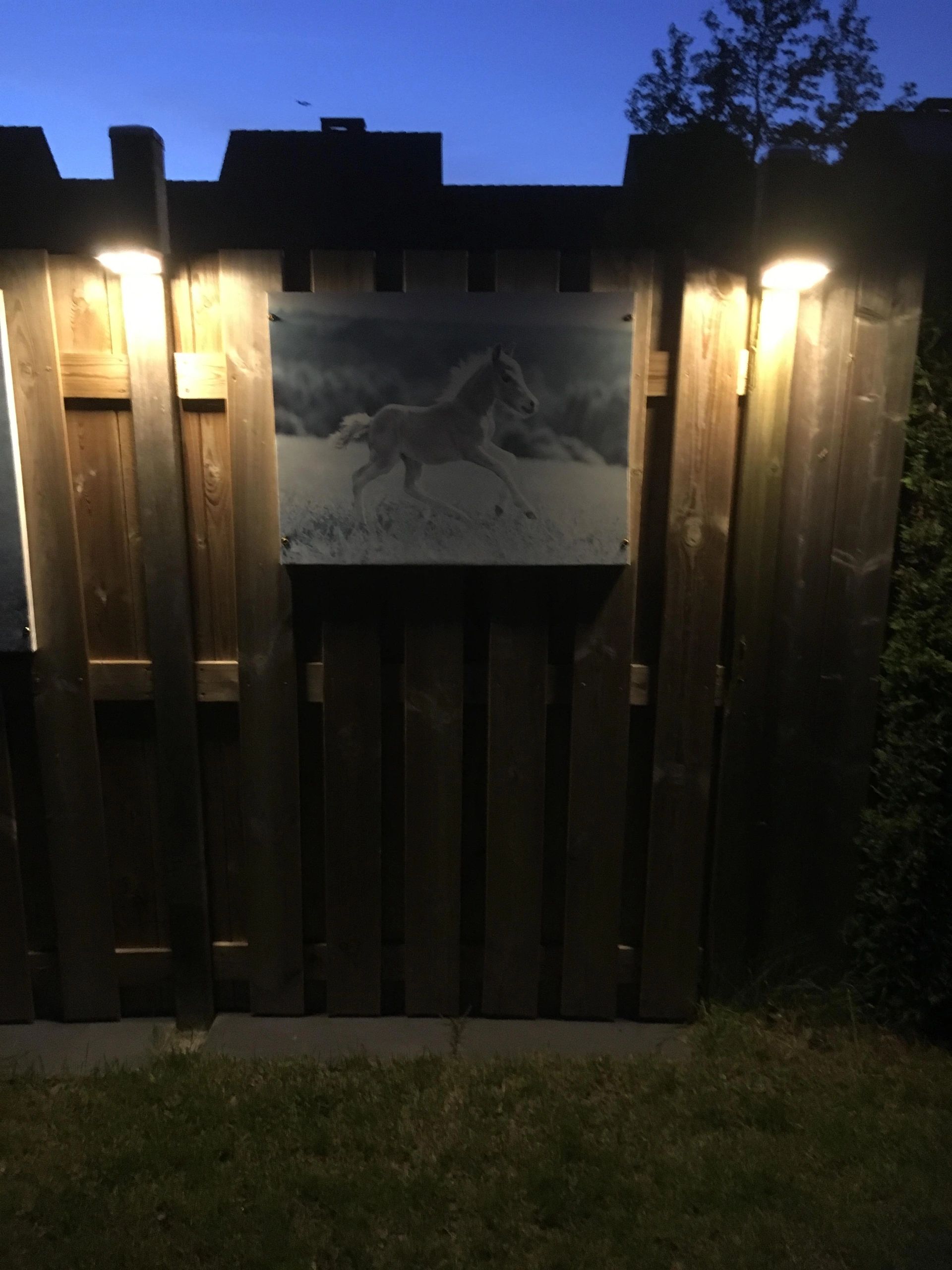 Solar wandlamp Slim II met 49 leds en bewegingsmelder RVS op zonne-energie