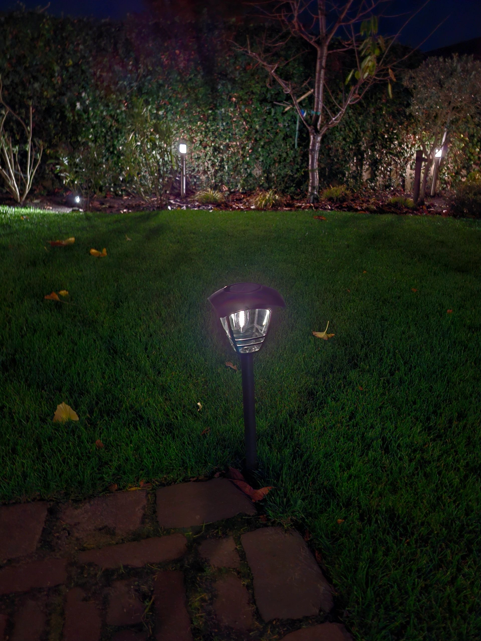 Solar priklamp Prickle met warm wit licht set van 2