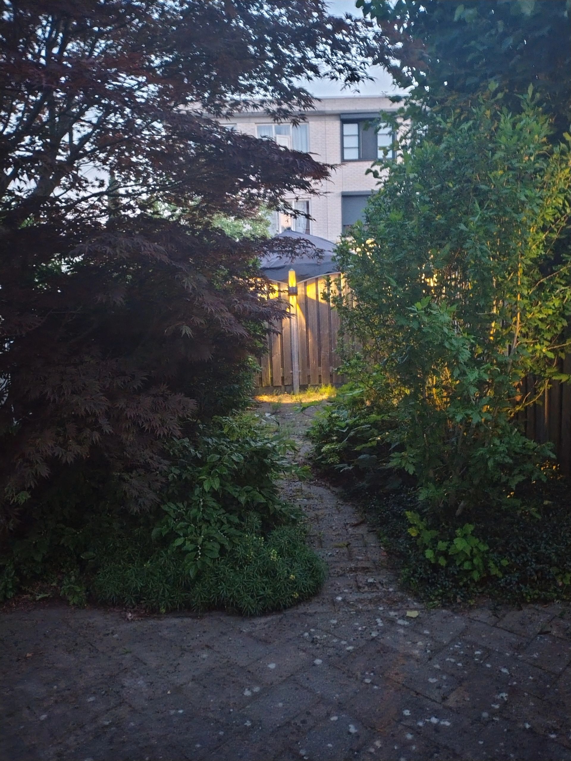 Solar wandlamp Newton warm wit licht