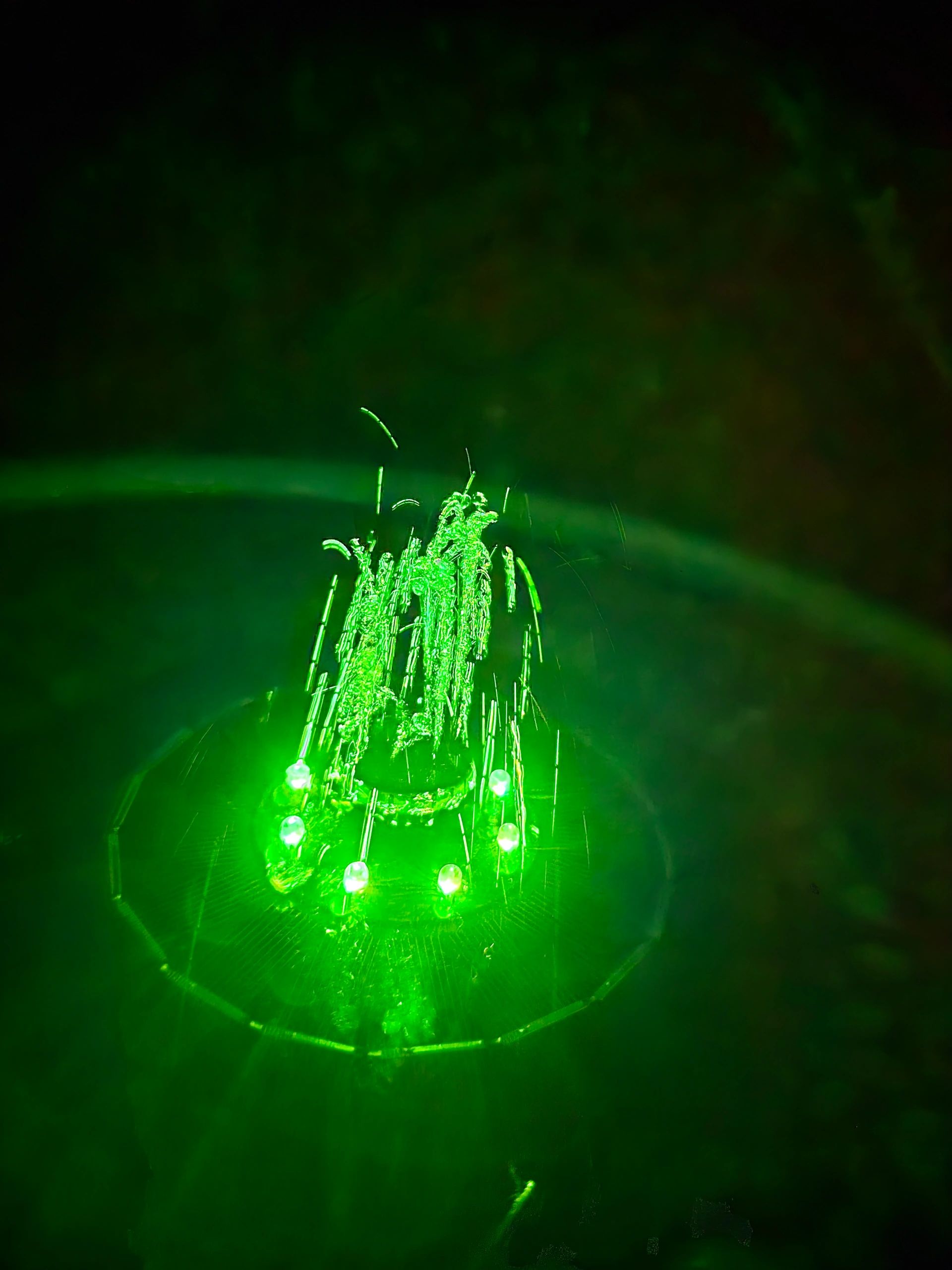 Solar fontein Jet - Fontein op zonne energie - Multicolor - Inclusief afstandsbediening