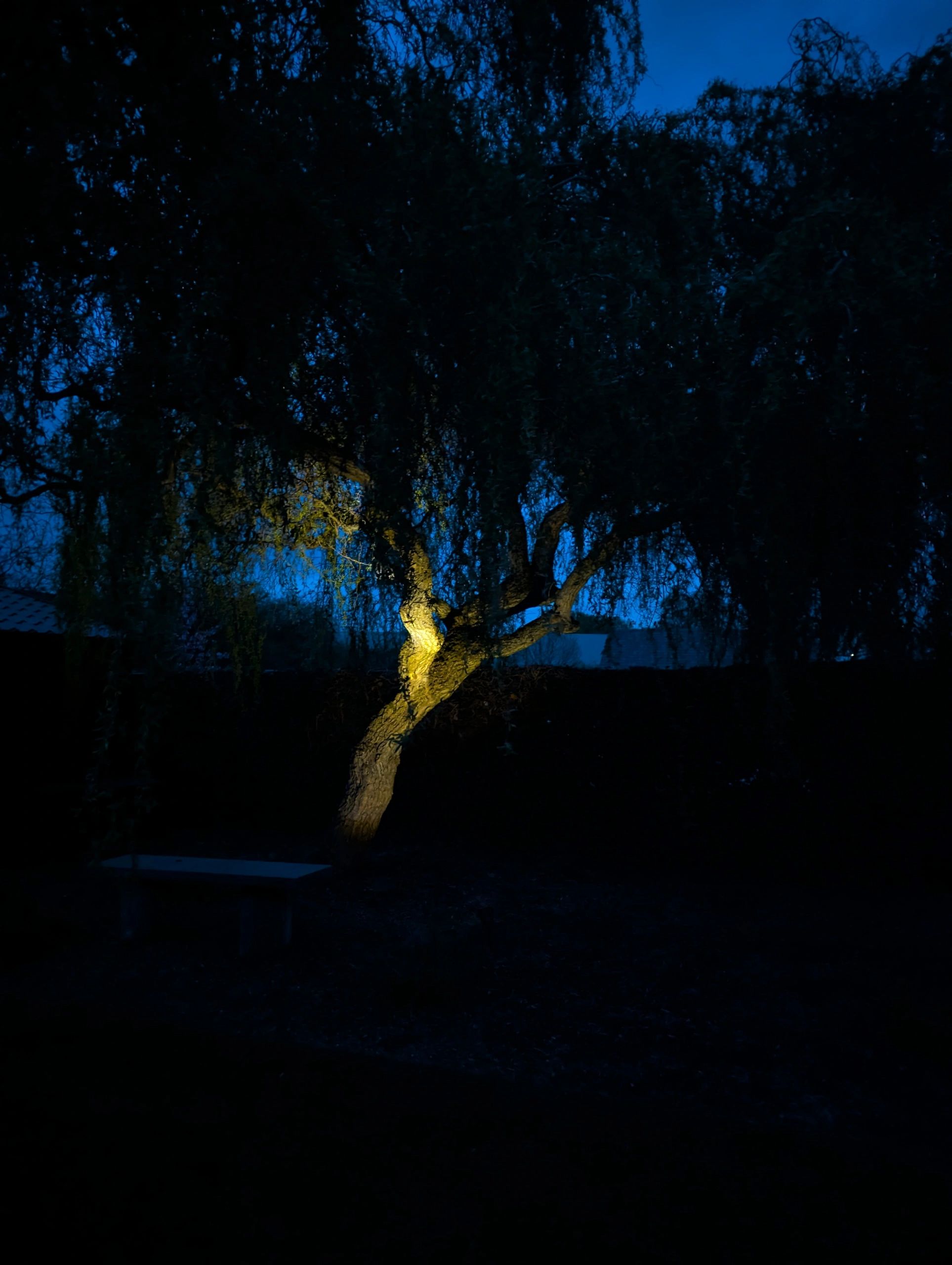 Solar spot Highlight voor wandmontage of grondspies warm wit voordeelset 4