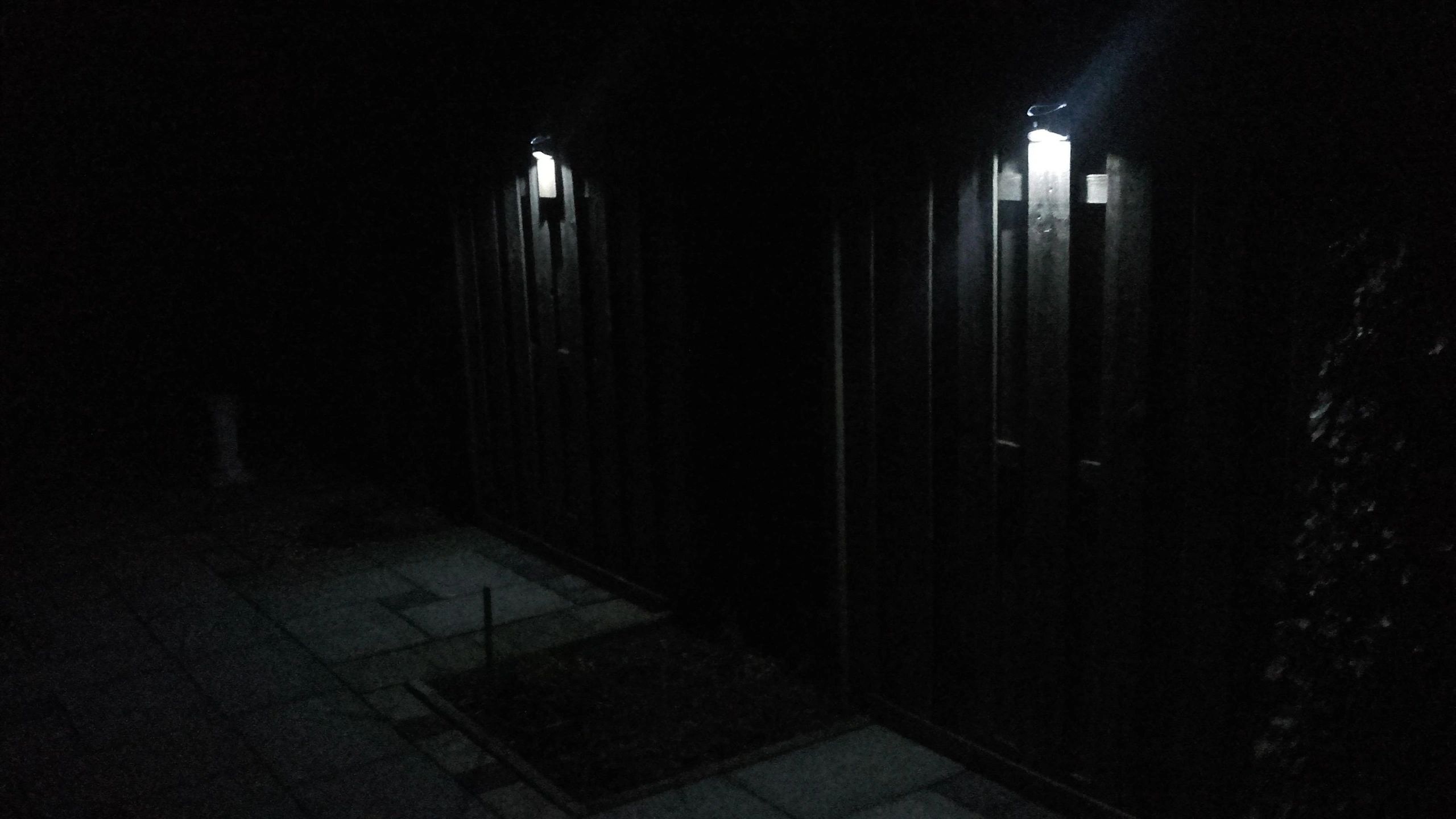 3X Solar wandlamp Flint RVS met bewegingsmelder op zonne energie koud wit