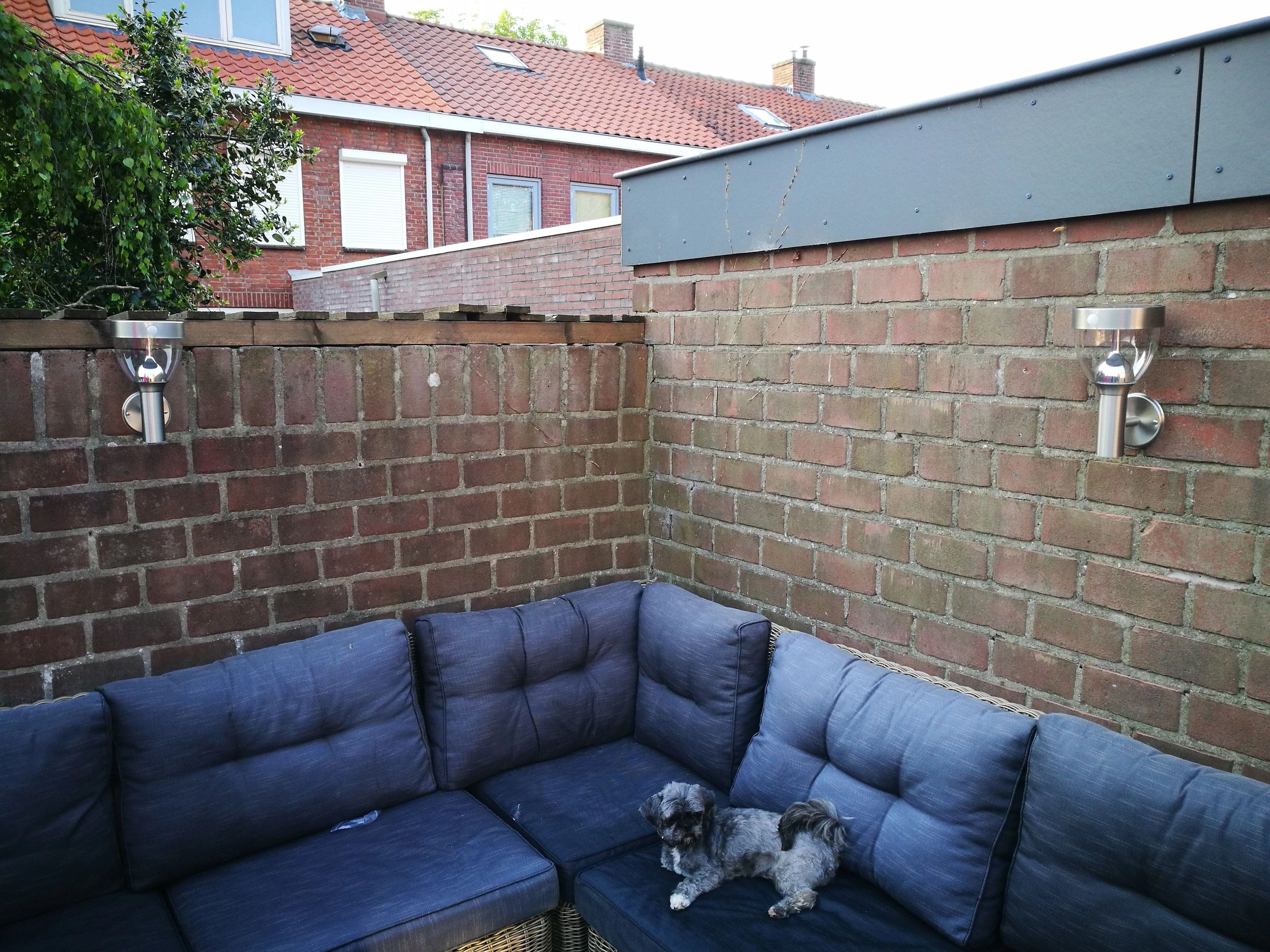 Solar wandlamp Bern RVS met sensor