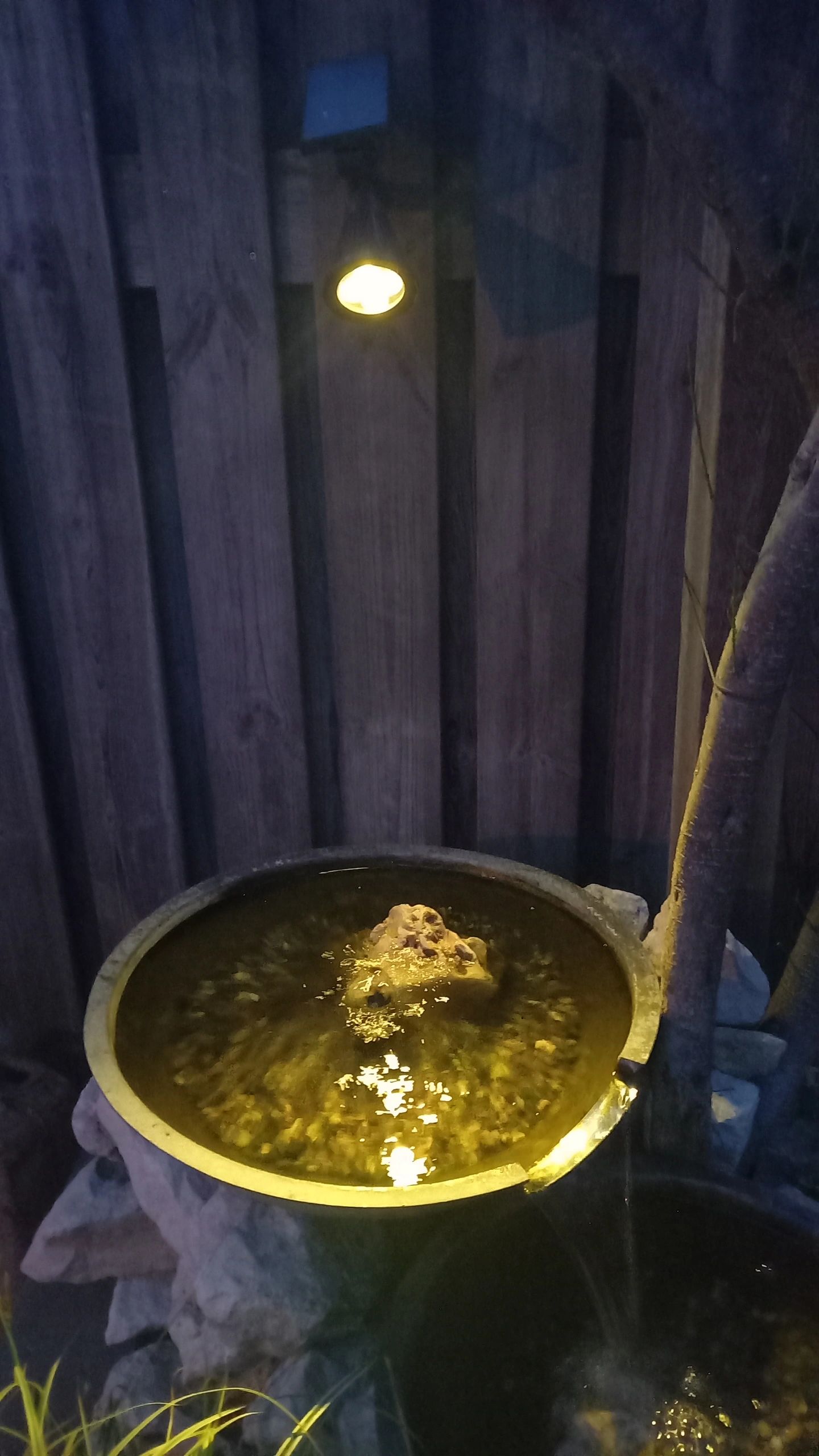 Solar spot Highlight voor wandmontage of grondspies warm wit voordeelset 3