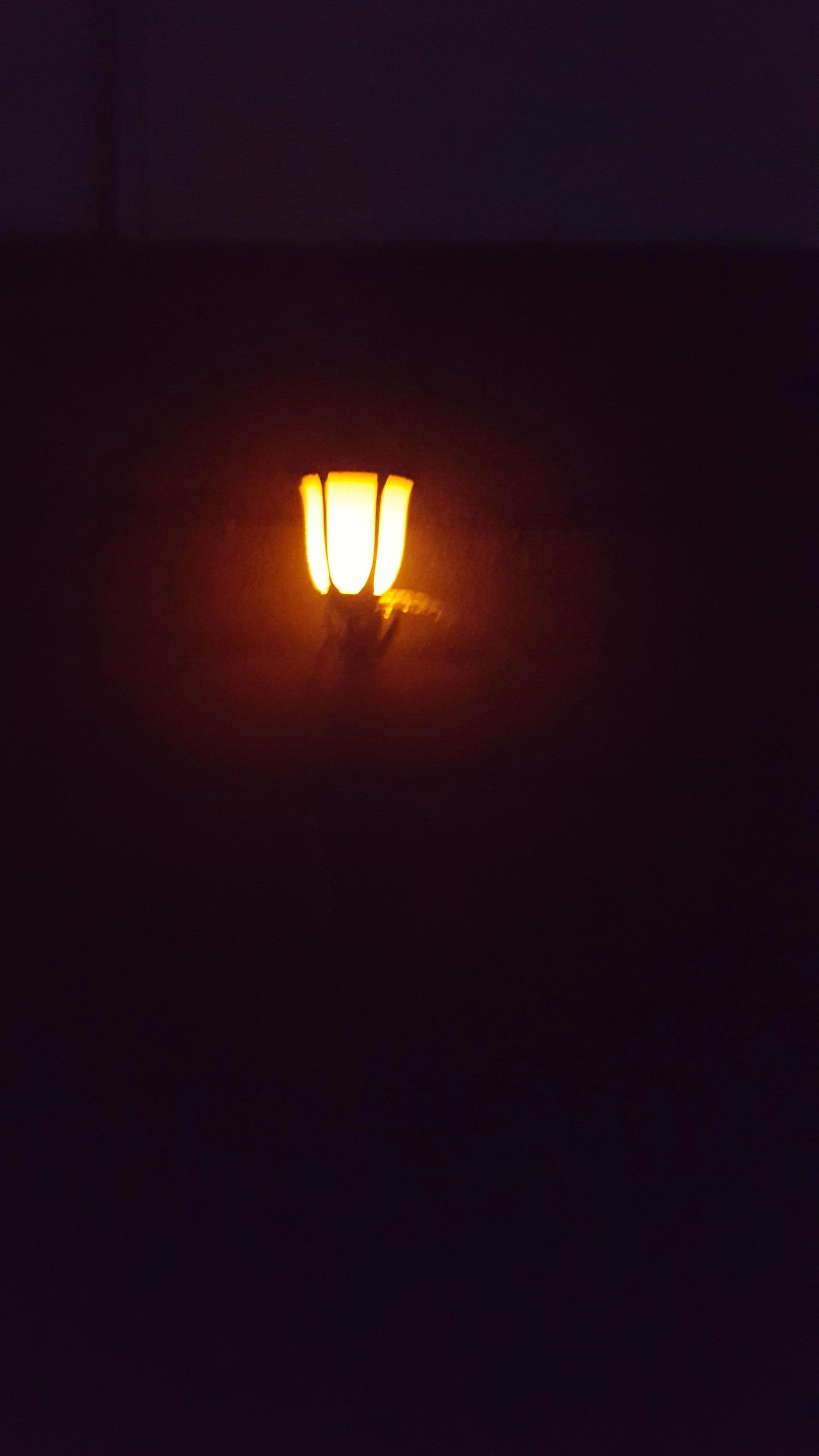 Solar wandlamp Pieck met vlameffect en schemersensor voordeelset