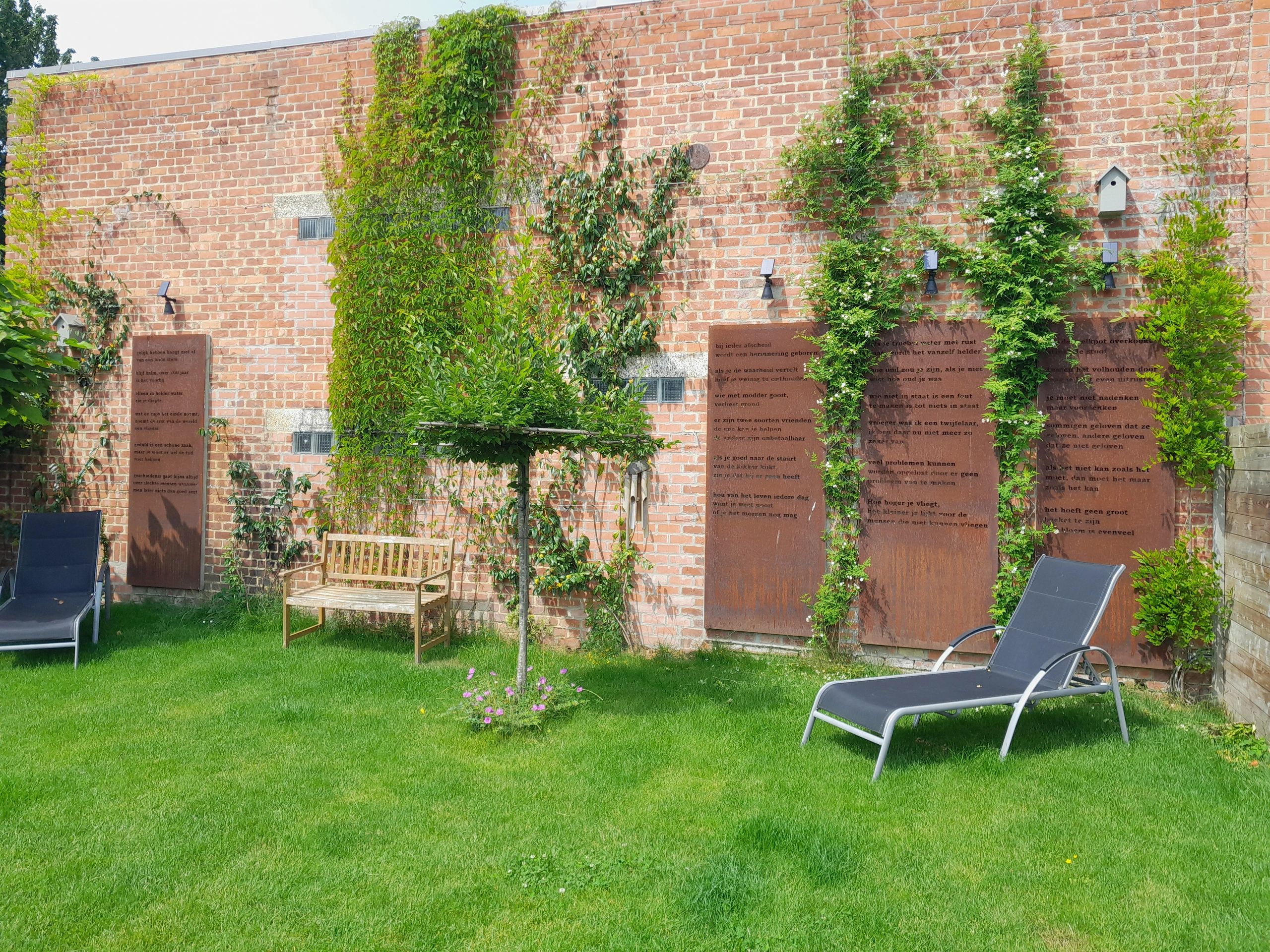 Solar wandspot Highlight voor wandmontage of grondspies - buitenlamp op zonne energie warm wit