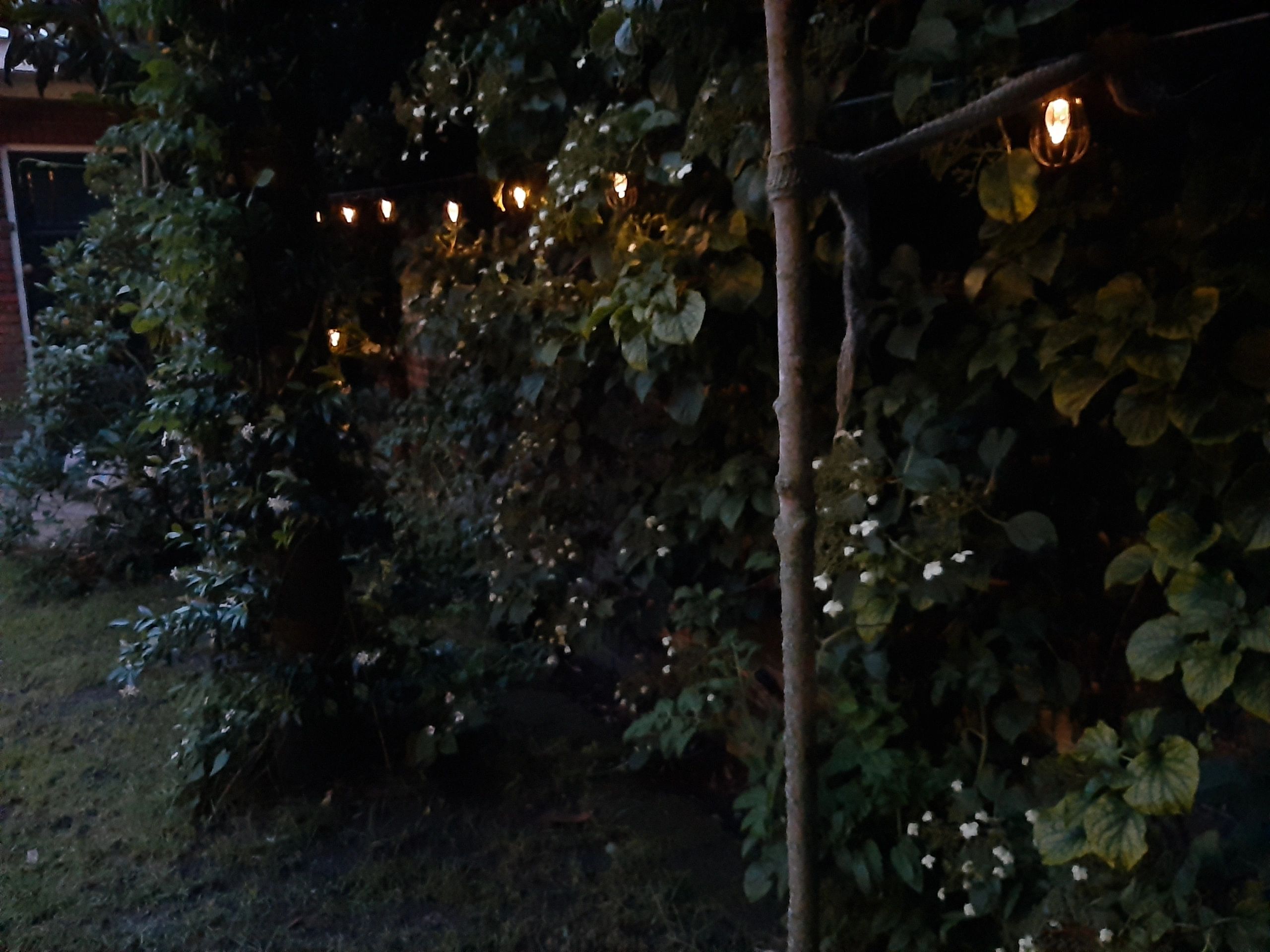 Solar lichtslinger Pendel met 8 warm witte LED filament lampen