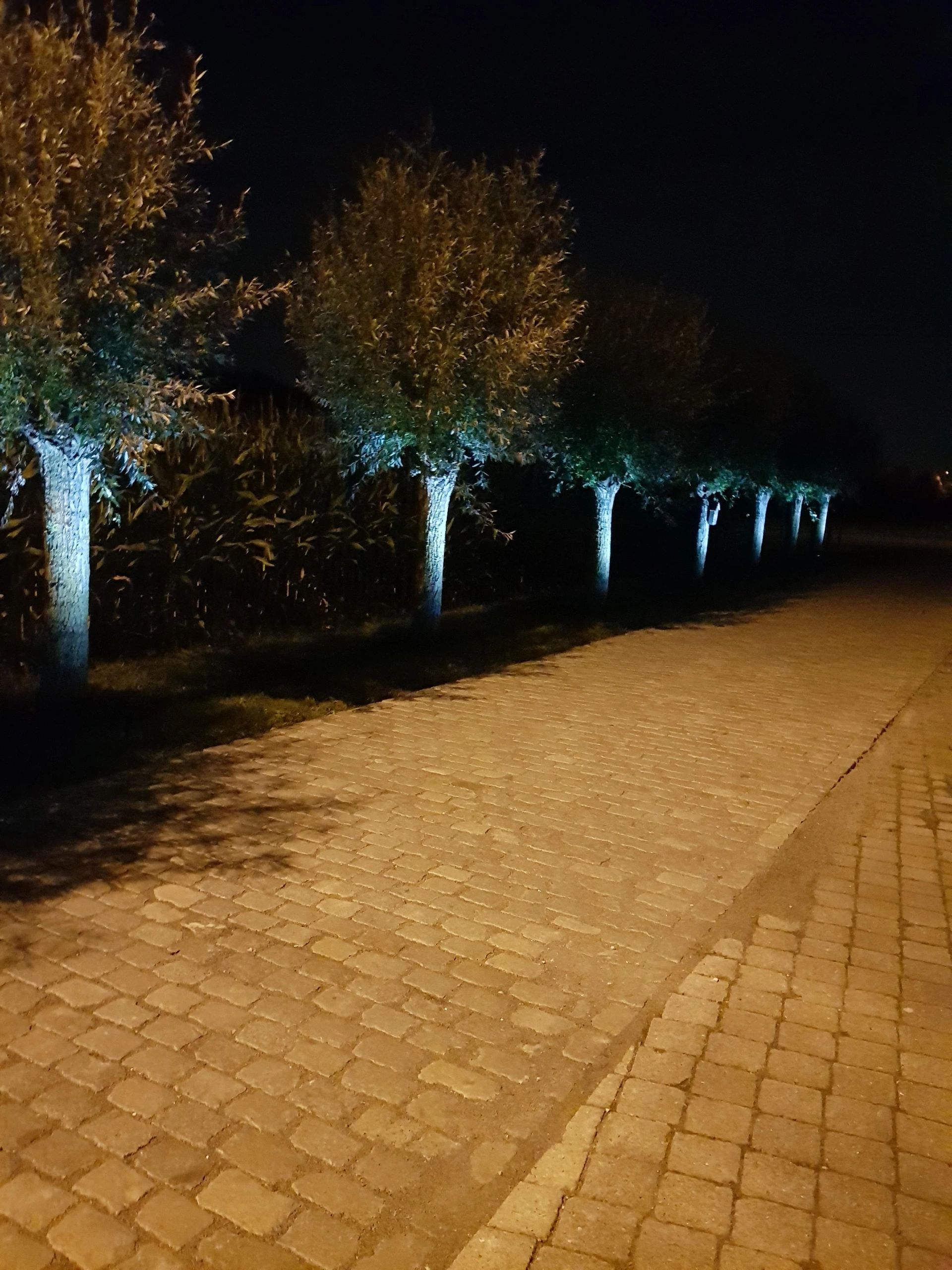 Solar spot Highlight voor wandmontage of grondspies - buitenlamp op zonne energie