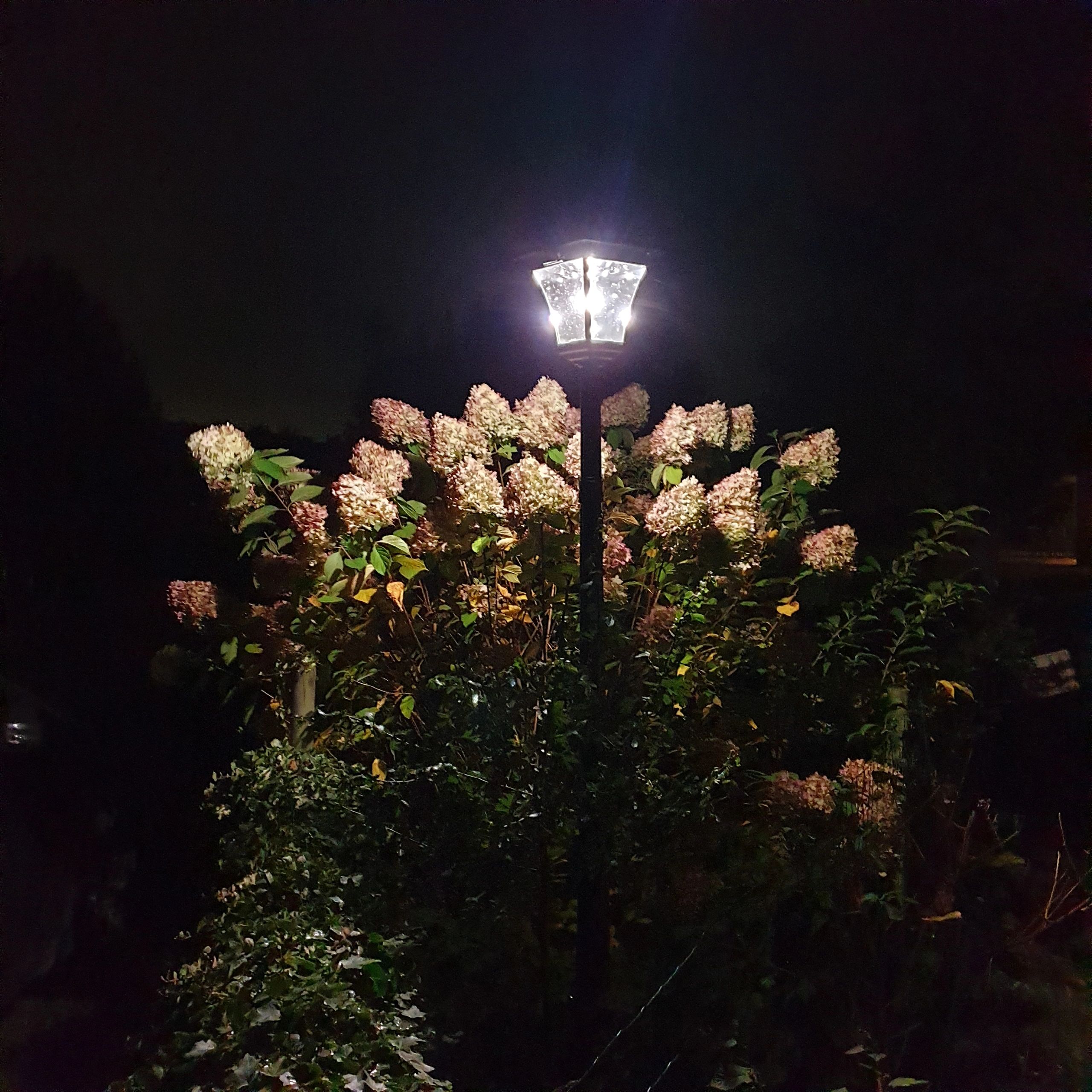 Solar buitenlamp London lantaarn hoog op zonne energie