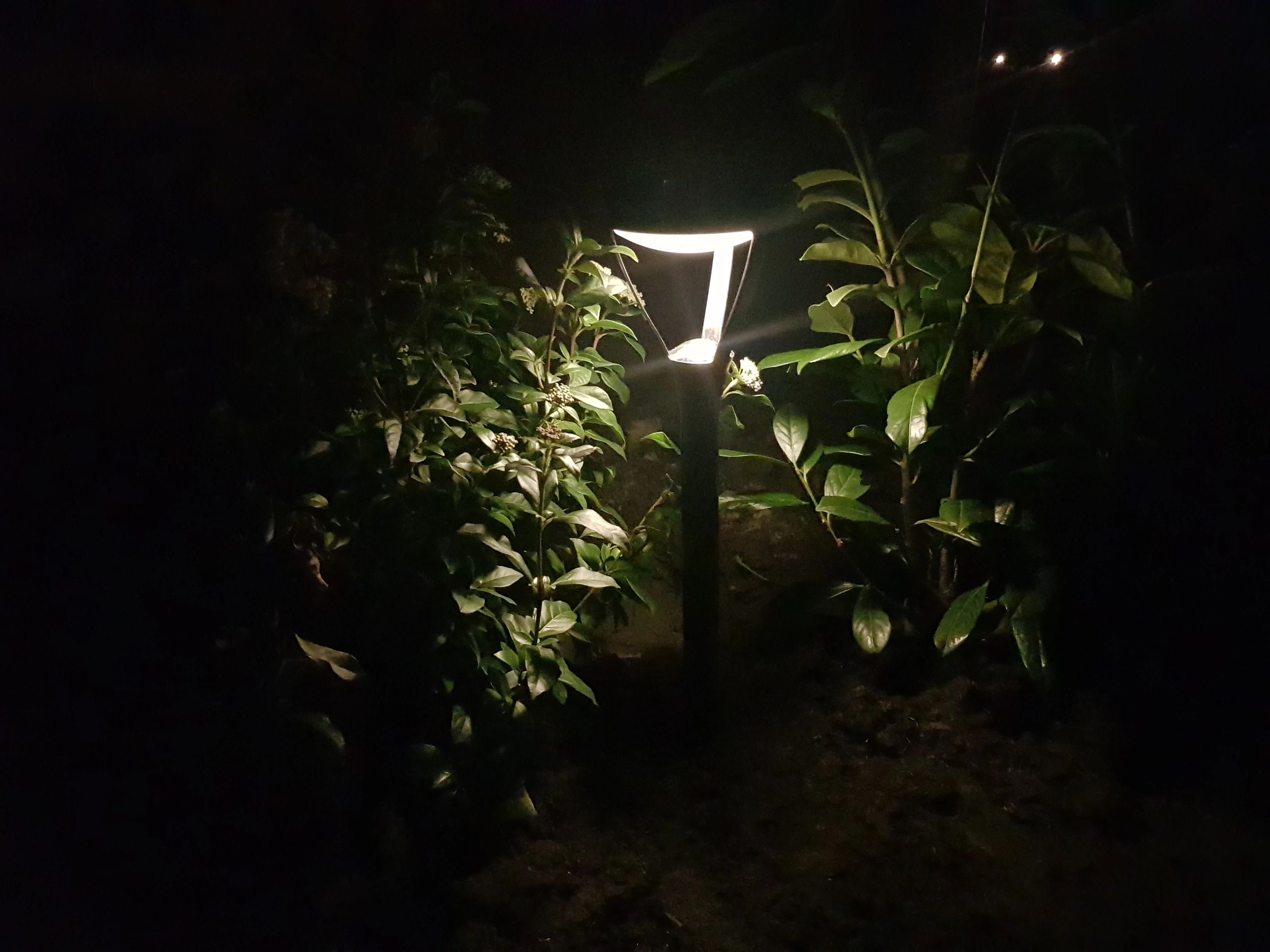 Voordeelset Solar priklamp Birdie zwart met warm wit licht