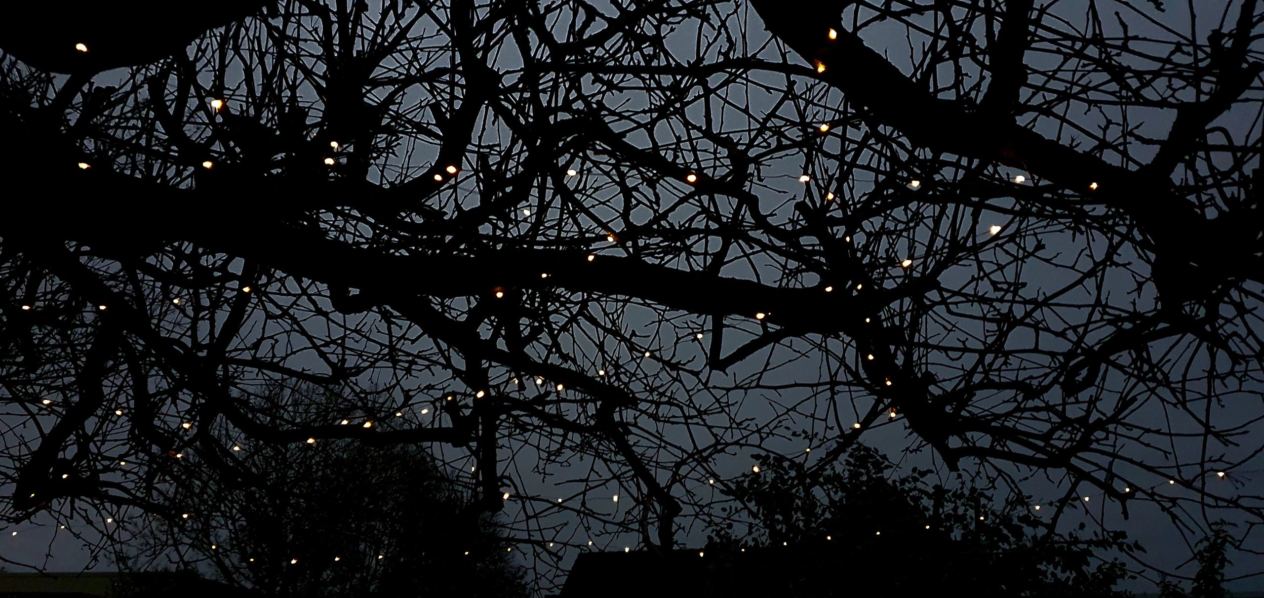 Solar lichtsnoer Twinkle met 300 leds in koperdraad