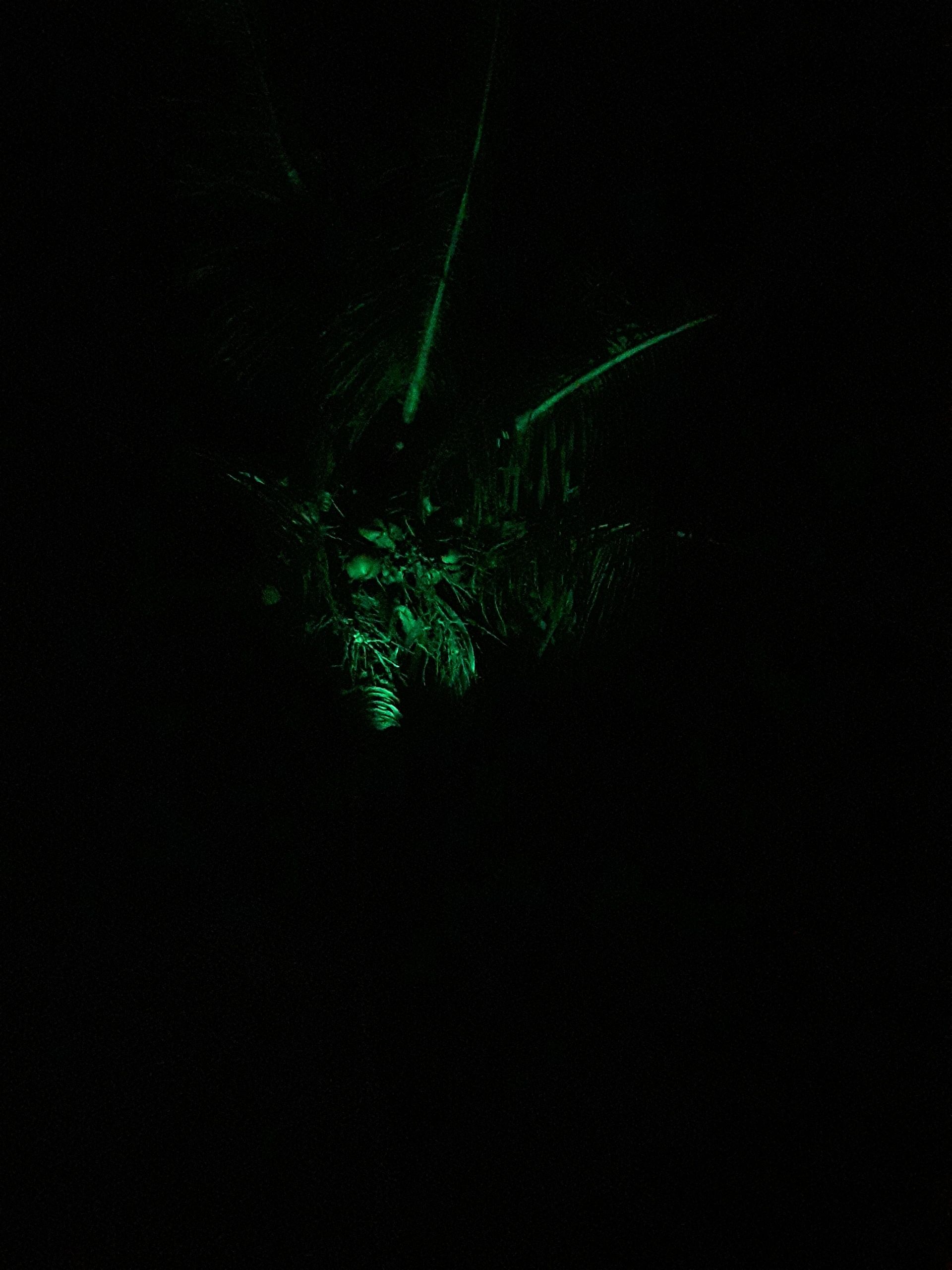 Solar RGBW multicolor breedstraler Rainbow met afstandsbediening