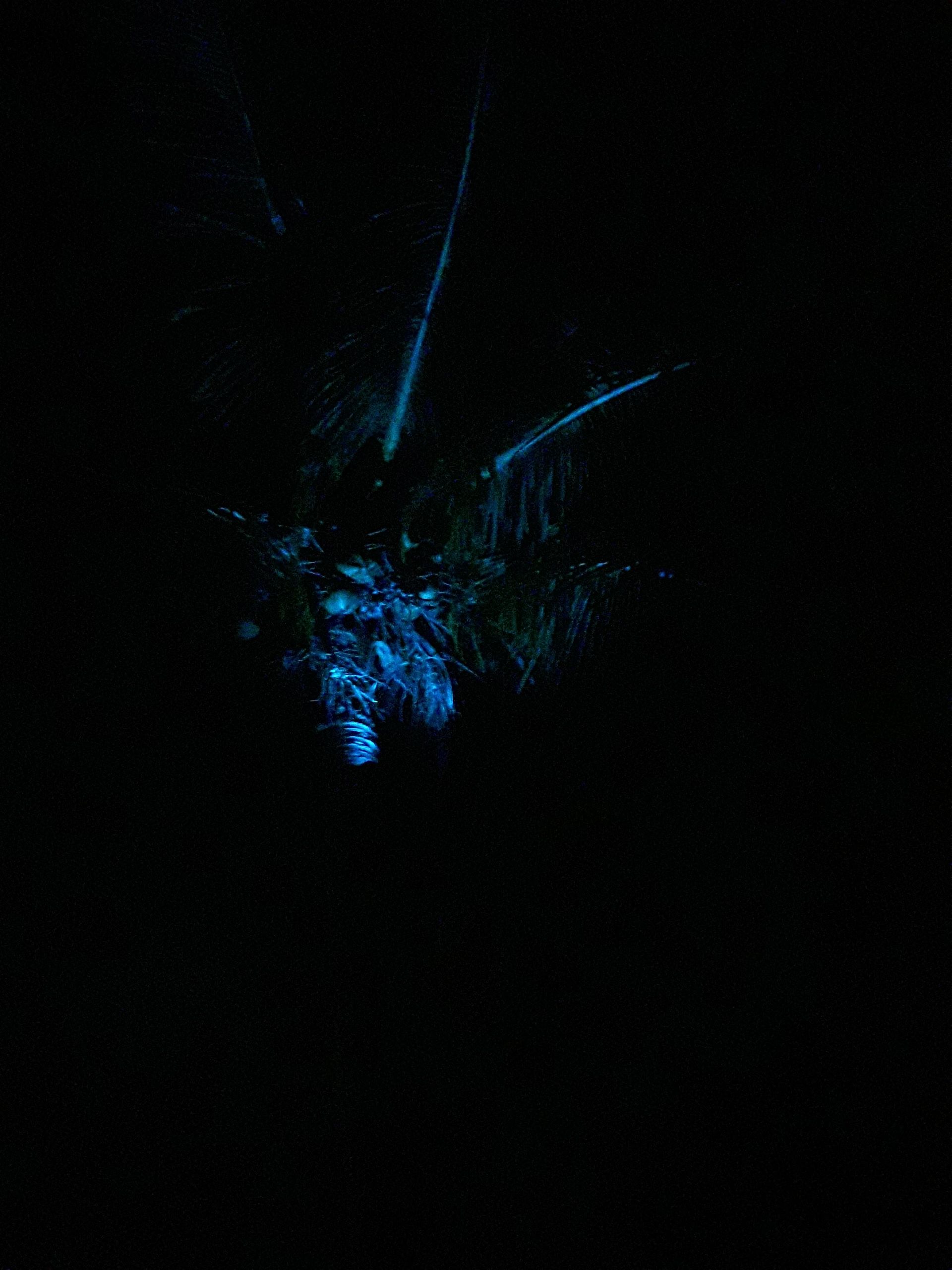 Solar RGBW multicolor breedstraler Rainbow met afstandsbediening