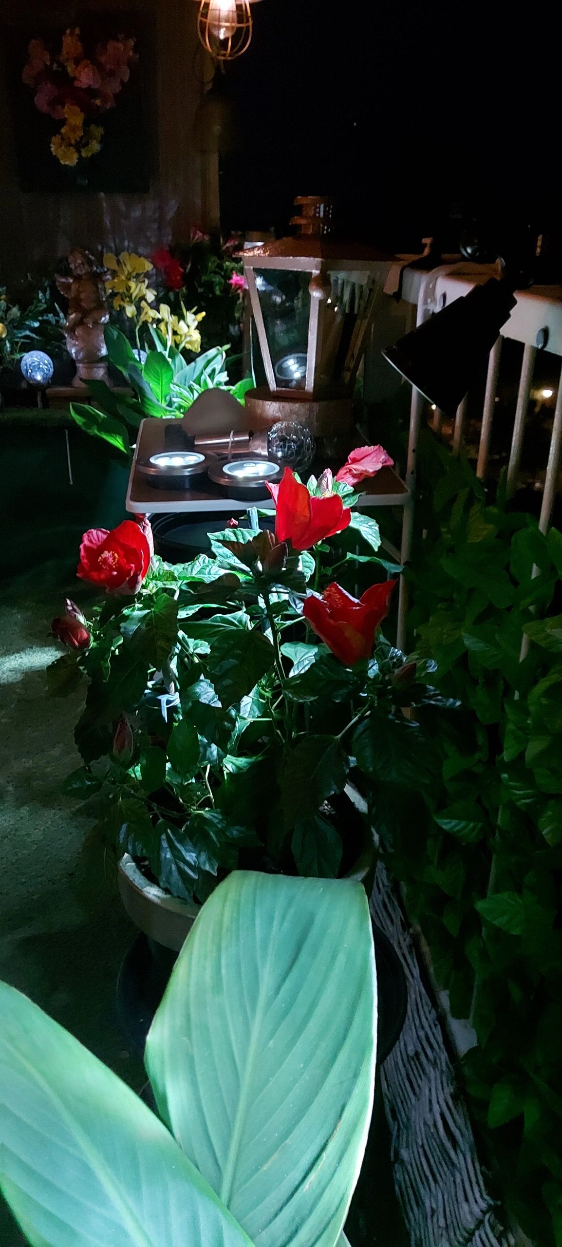 Solar wandspot Highlight voor wandmontage of grondspies - buitenlamp op zonne energie