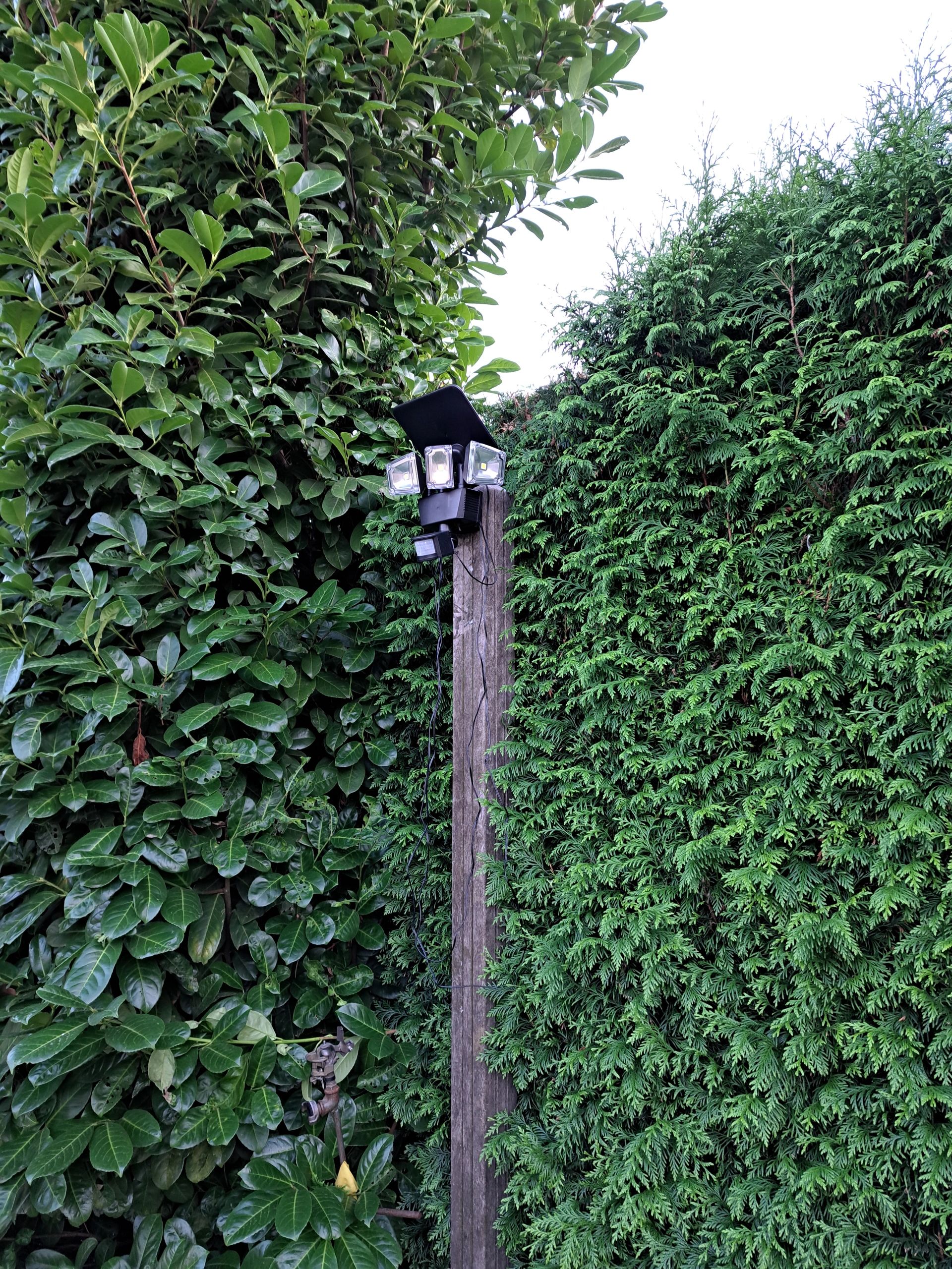 Solar RVS buitenlamp Glare met bewegingssensor - Voordeelset van 3