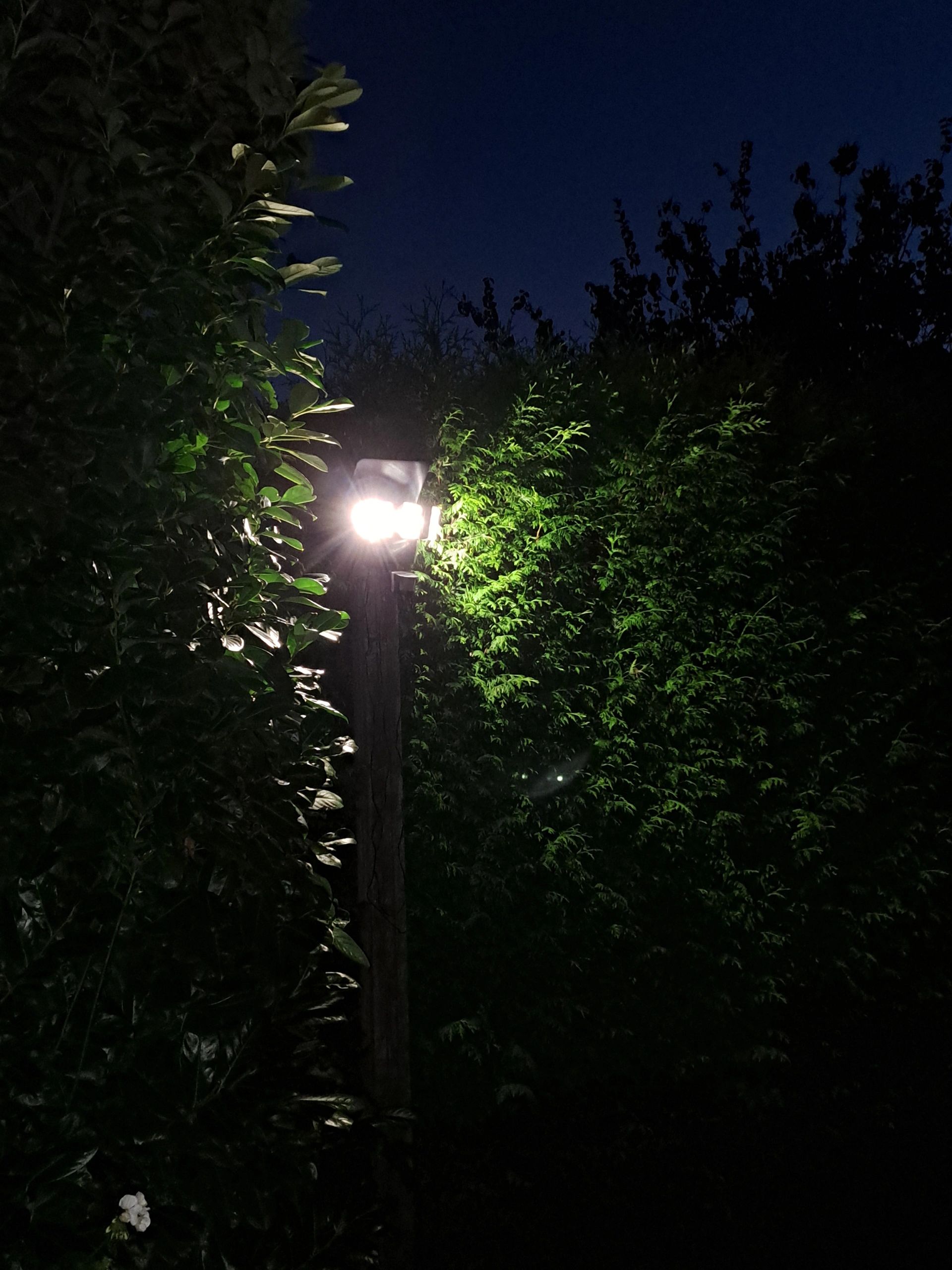 Solar RVS buitenlamp Glare met bewegingssensor - Voordeelset van 3