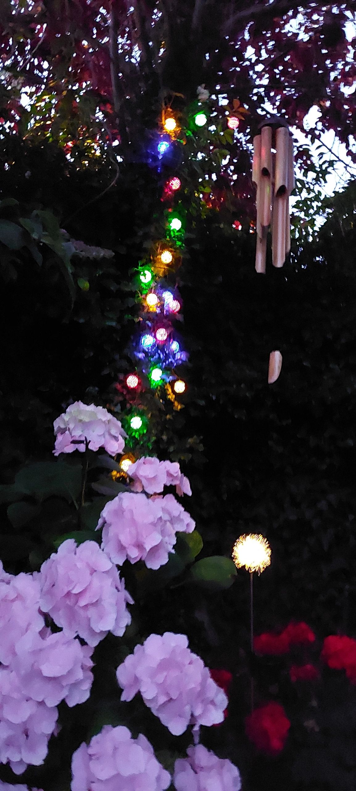 Solar lichtslinger Marrakech met 20 multicolor led lampen