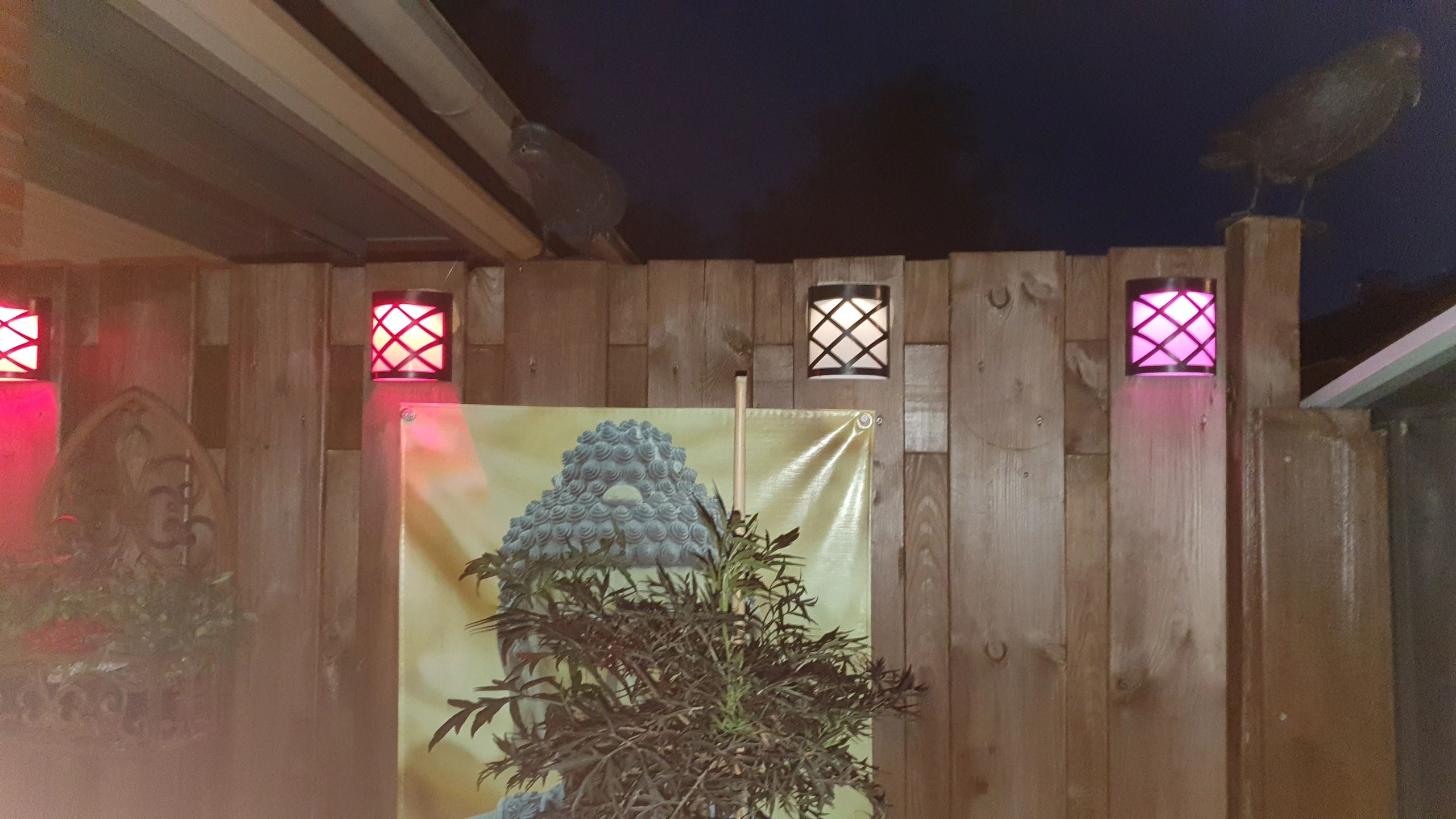 3x Solar wandlamp China RGBW buitenlamp op zonne energie