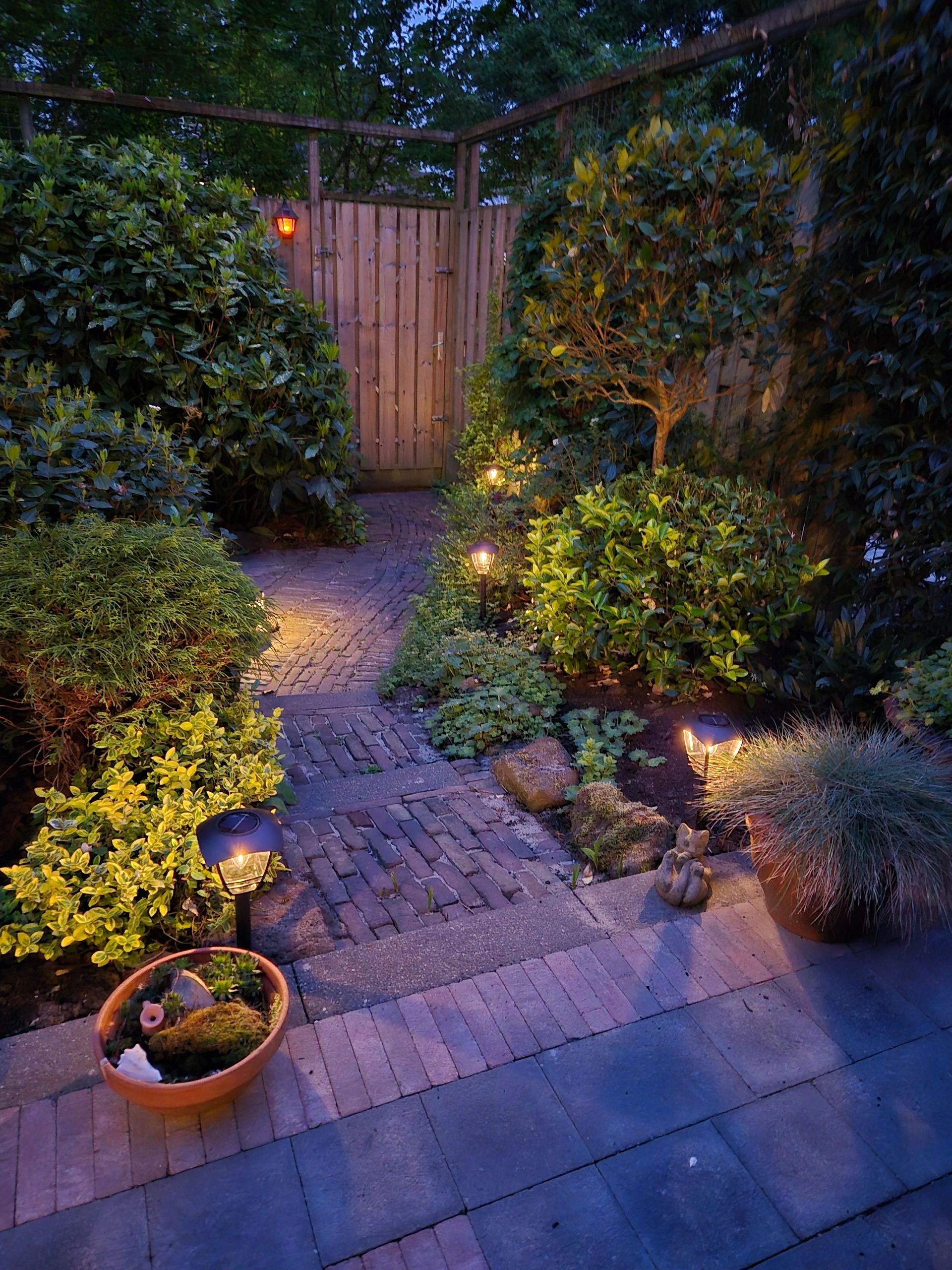 Solar priklamp Prickle met warm wit licht voordeelset van 4