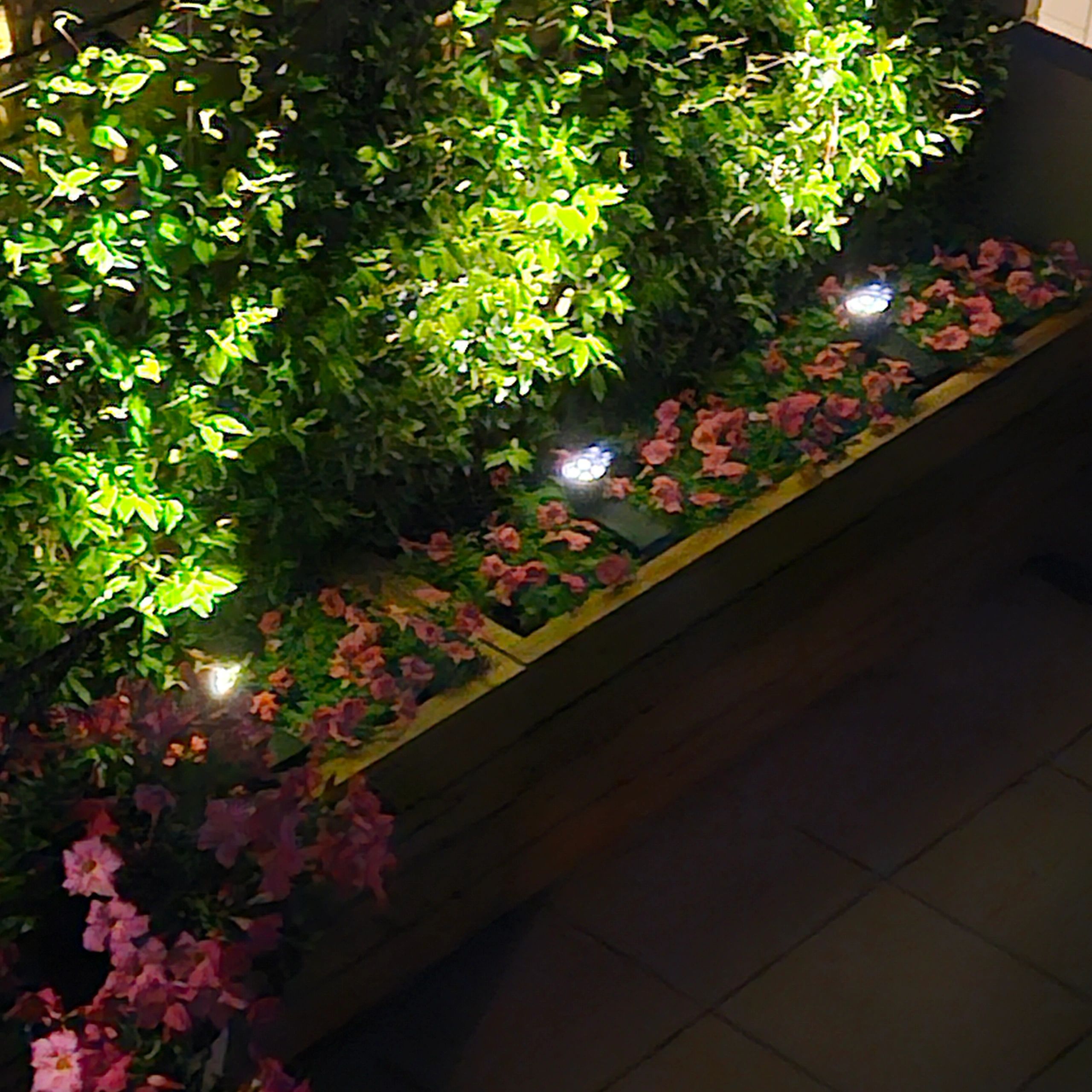 Solar spot Highlight voor wandmontage of grondspies warm wit voordeelset 2