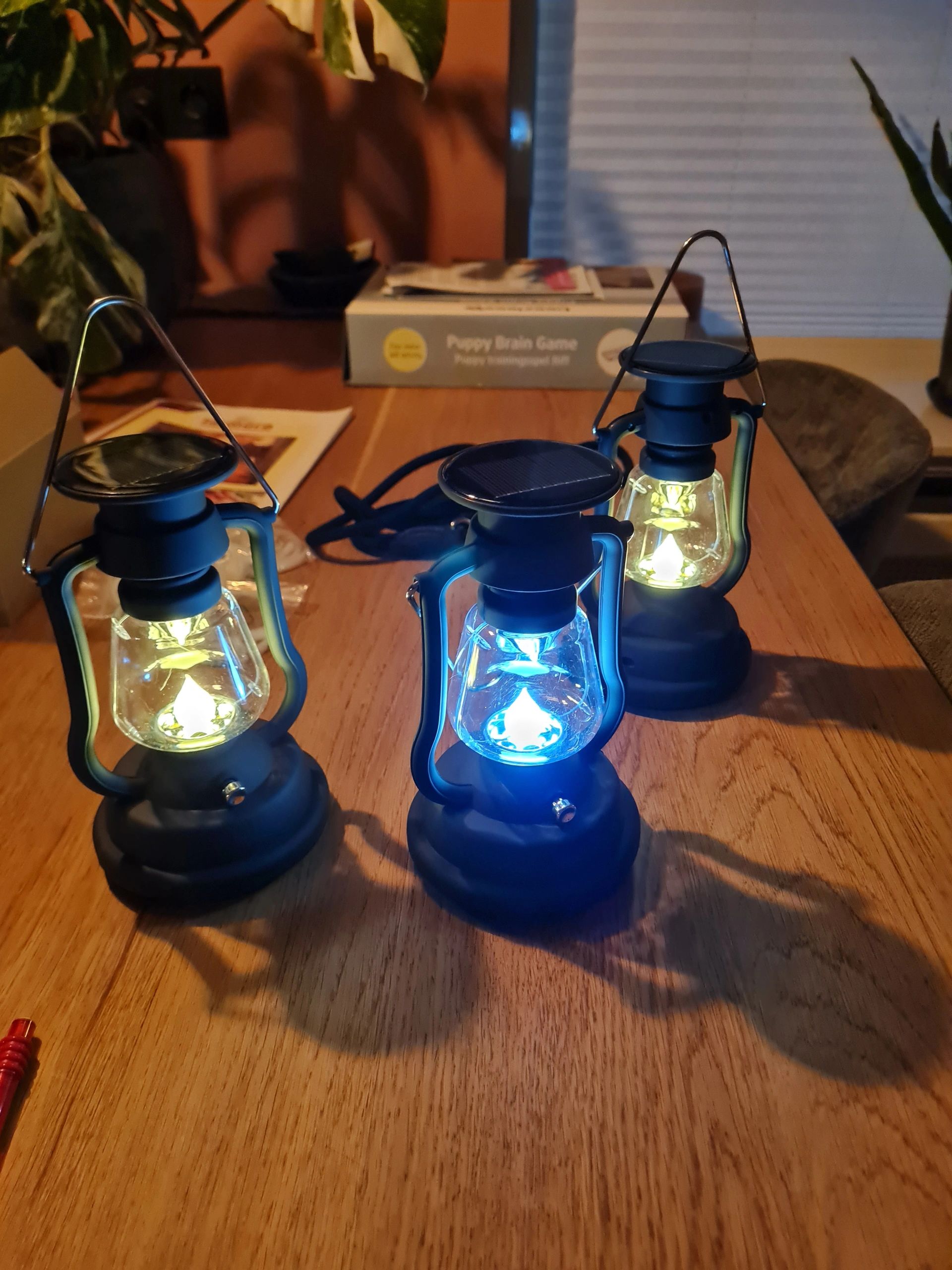 Solar storm windlicht OiL op zonne energie kleur zwart (set van 3 stuks)