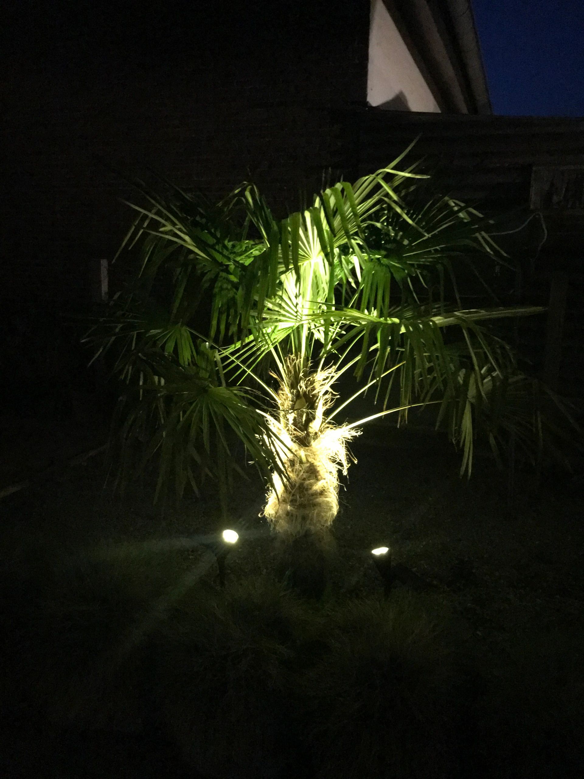 Solar wandspot Highlight voor wandmontage of grondspies - buitenlamp op zonne energie warm wit