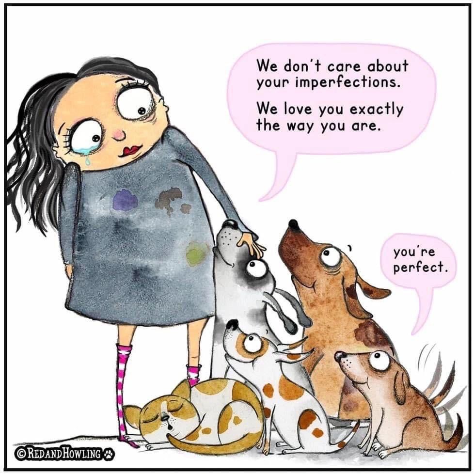 Solar buitenlamp London lantaarn hoog op zonne energie