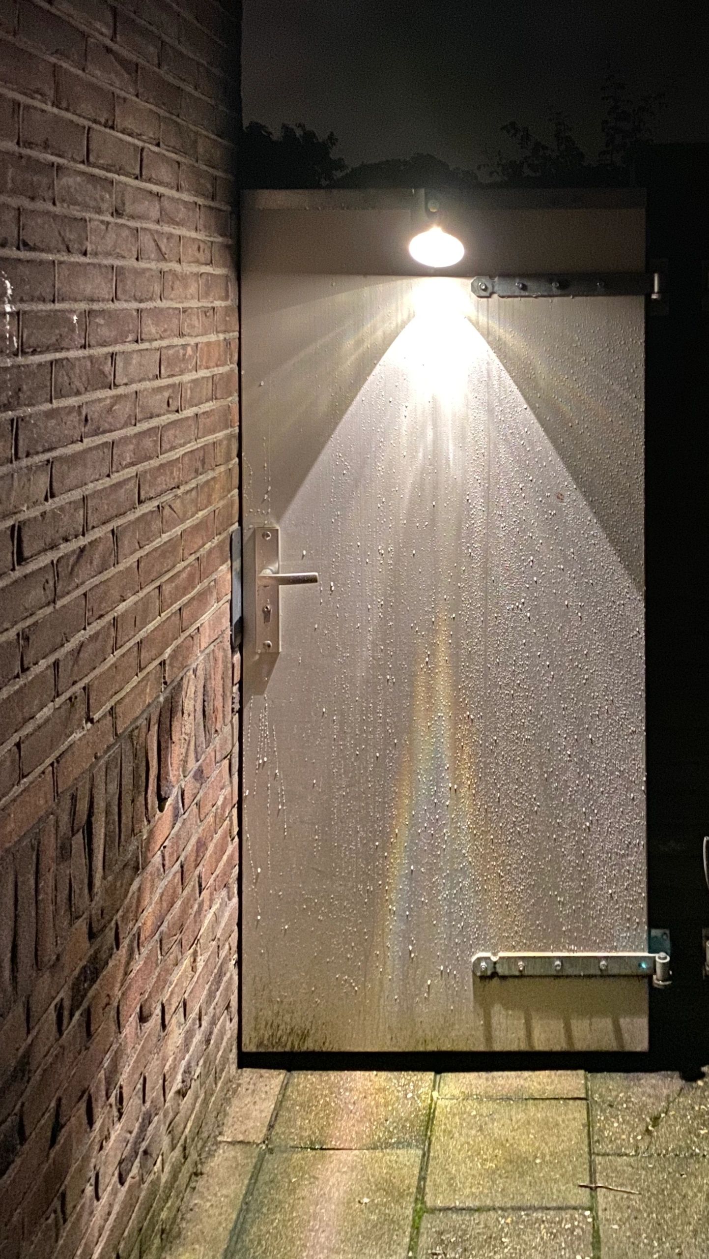 Solar wandlamp Tinn II RVS met bewegingsmelder op zonne energie