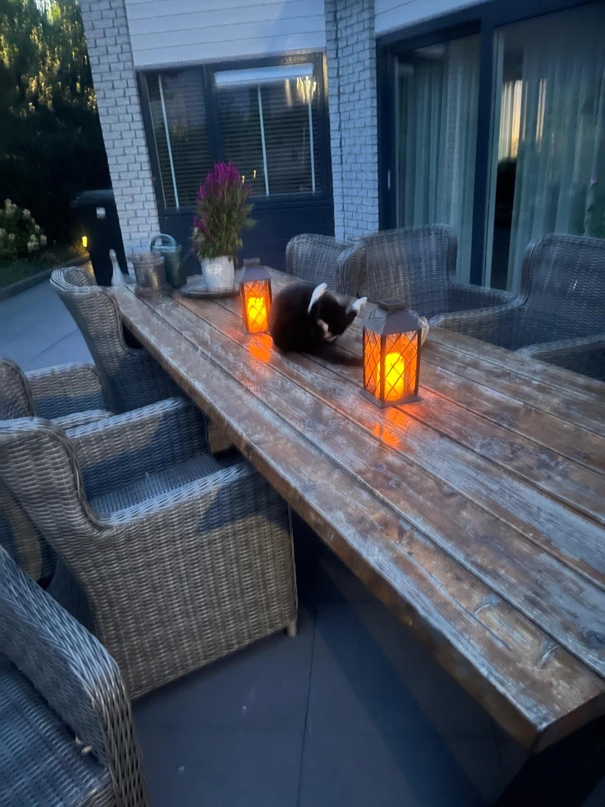 Solar LED Lantaarn Candle II | Warm wit licht |Met vlameffect