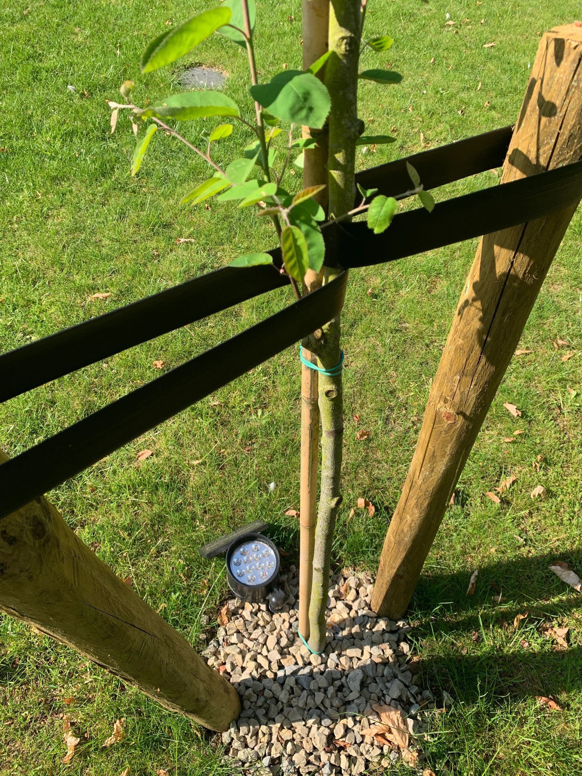 Solar spot Flood voor wandmontage of grondspies - buitenlamp op zonne energie