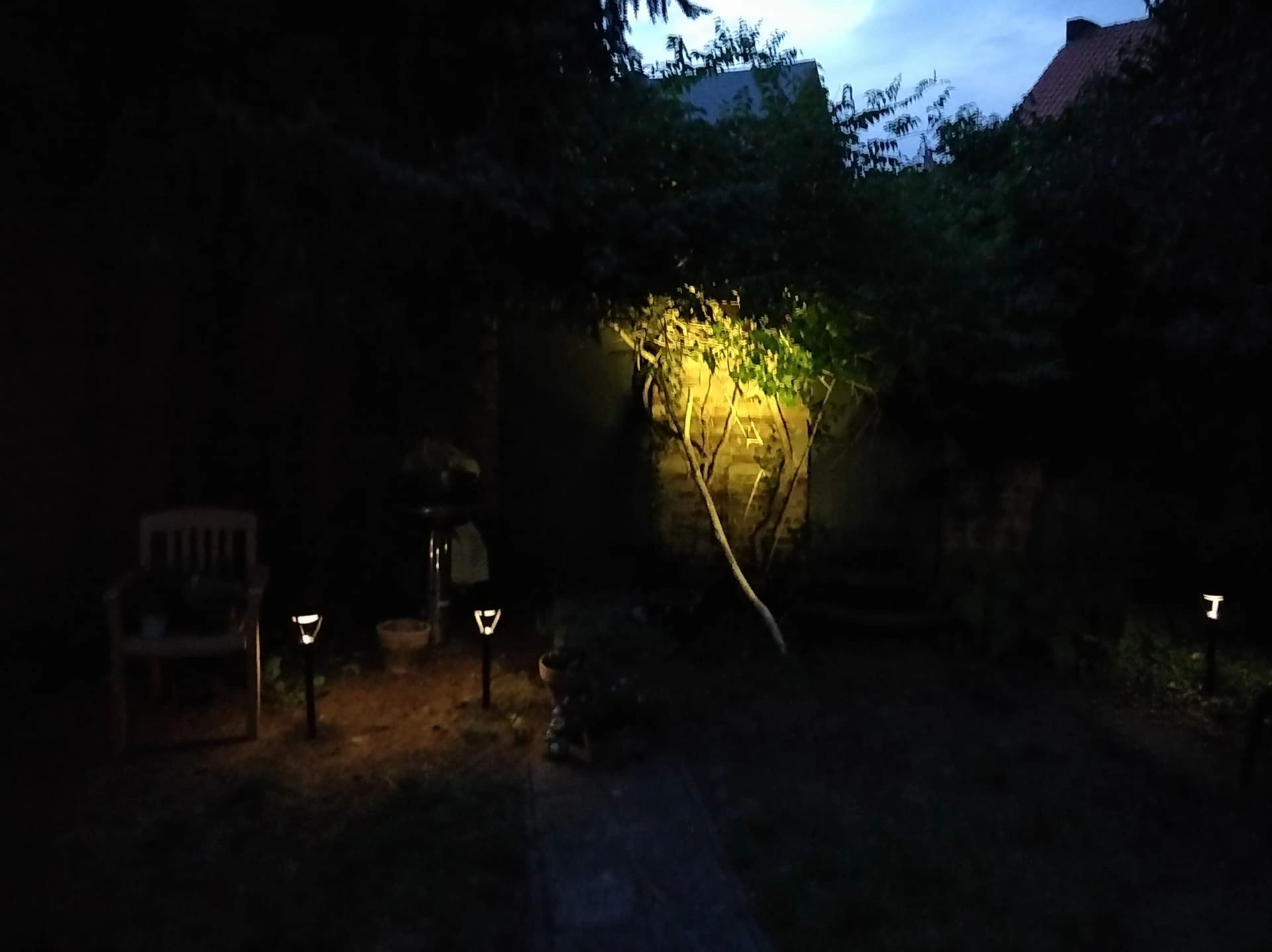 Voordeelset Solar priklamp Birdie zwart met warm wit licht