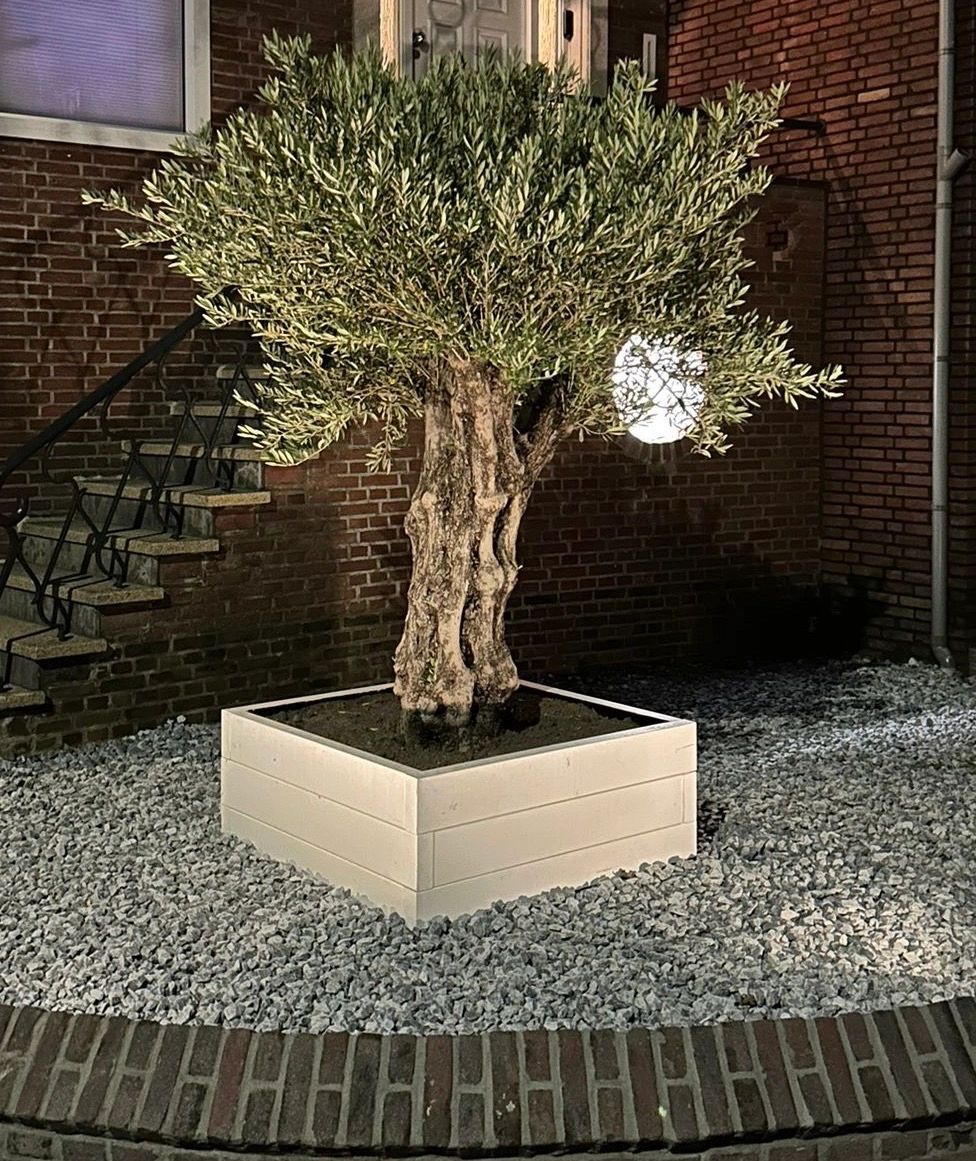 Solar spot Sunny Dual White tuinspot met grondspies - 4 stuks