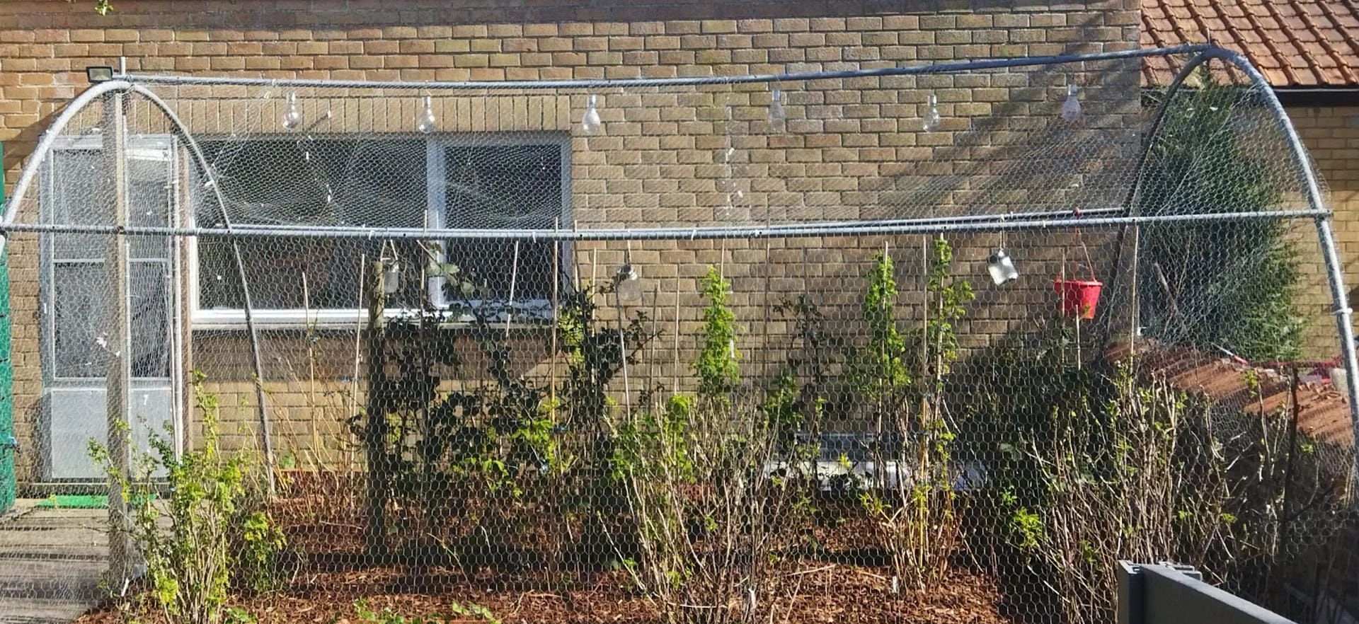 Solar LED lamp Eddy gloeilamp deco - set van 8 - op zonne energie