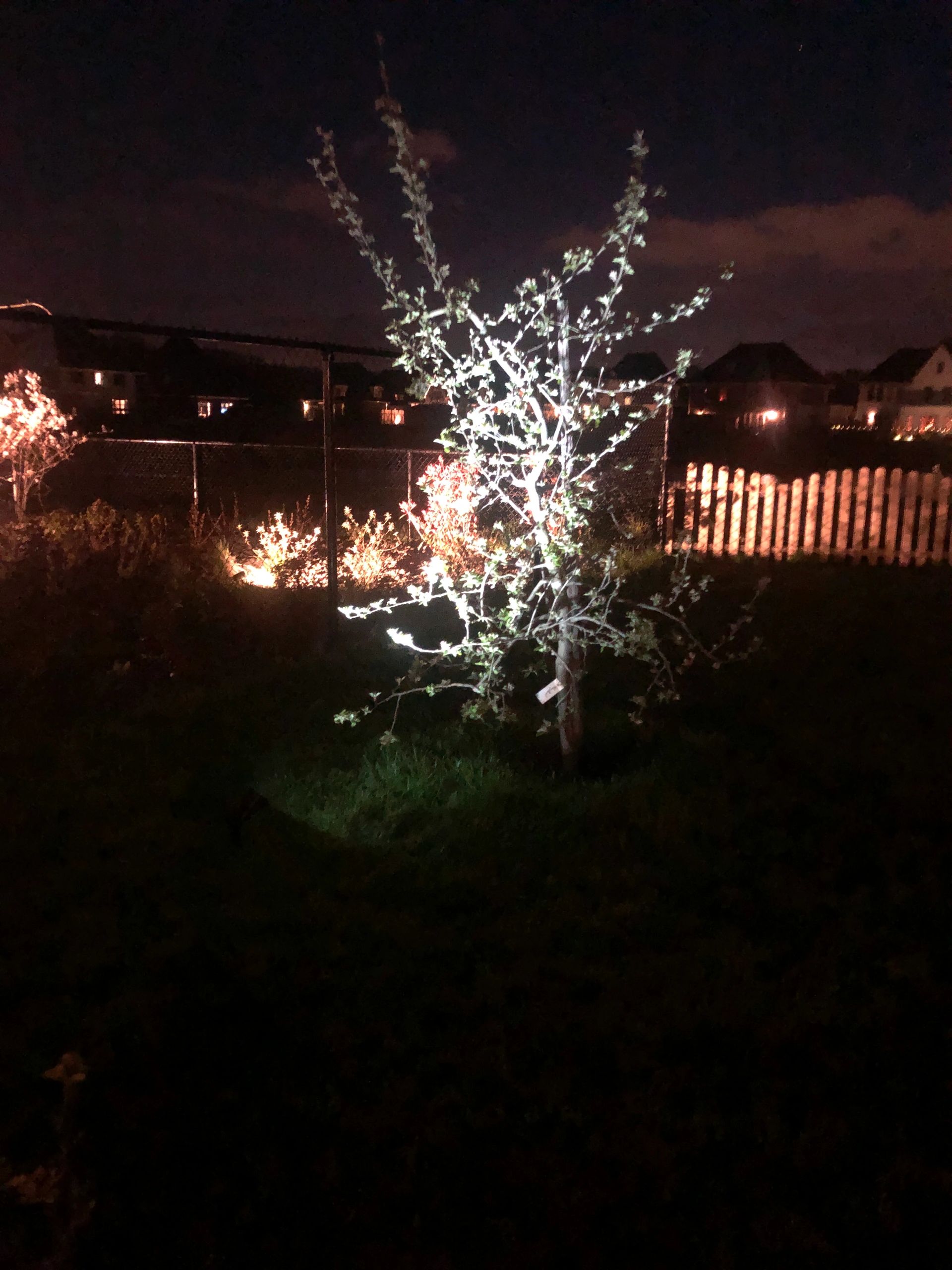 Solar spot Highlight voor wandmontage of grondspies - buitenlamp op zonne energie