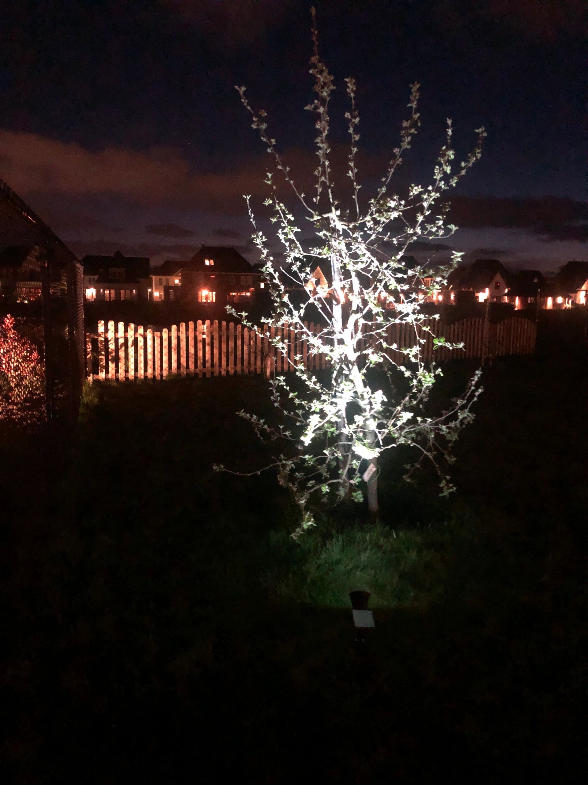 Solar spot Highlight voor wandmontage of grondspies - buitenlamp op zonne energie
