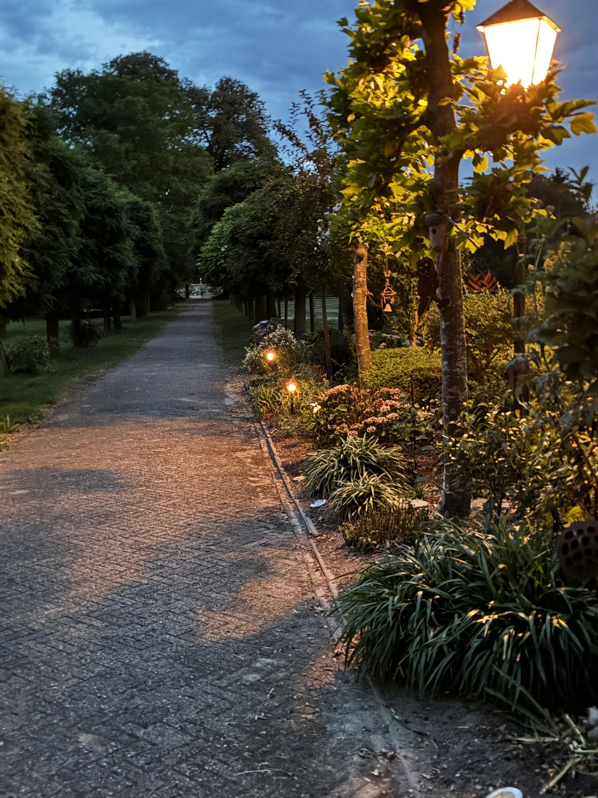 Solar priklamp Prickle met warm wit licht set van 2